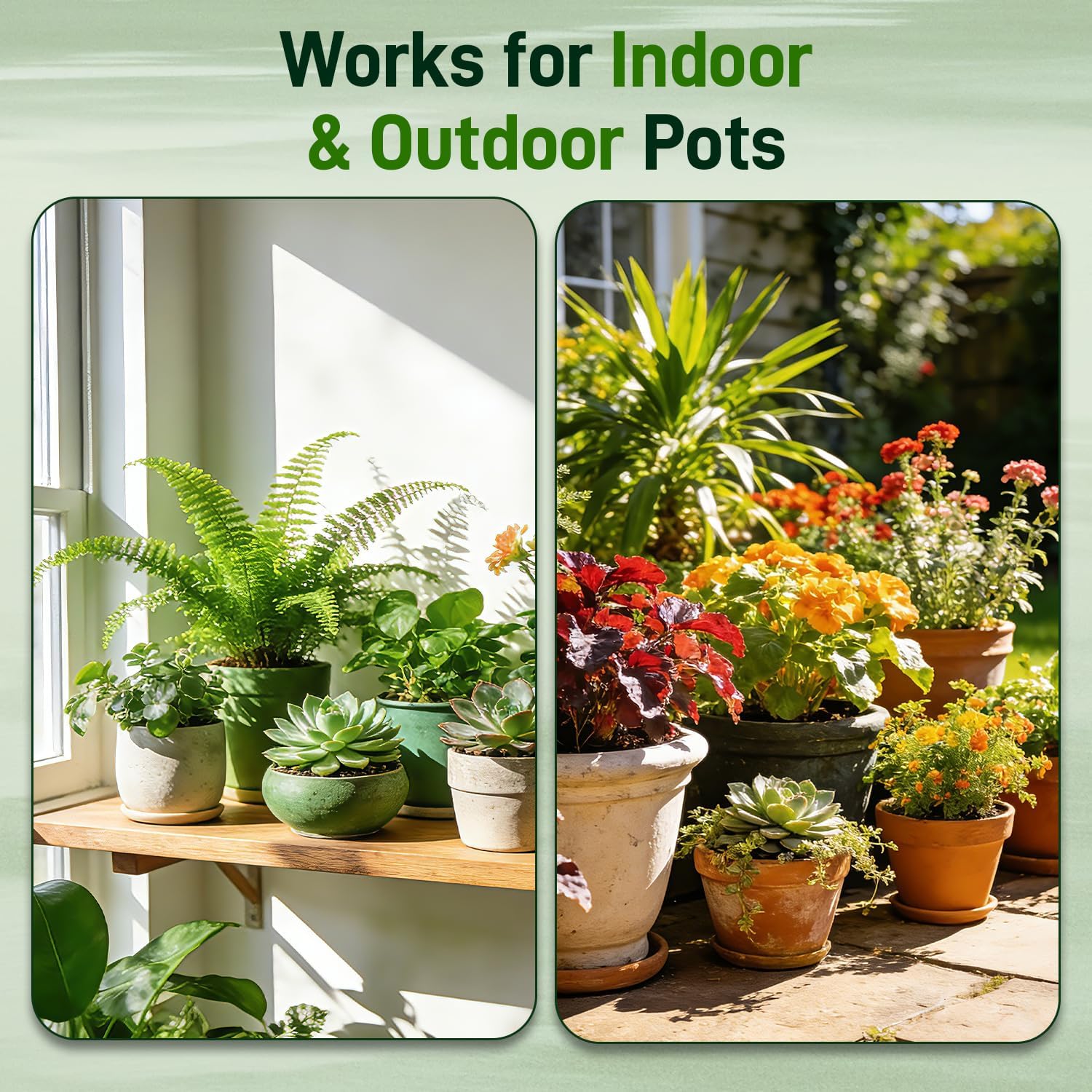 29QT Potting Soil Mix for Indoor Plants - Contains Perlite, Peat Moss, Coco Coir & Rice Charcoal, Natural & Organic