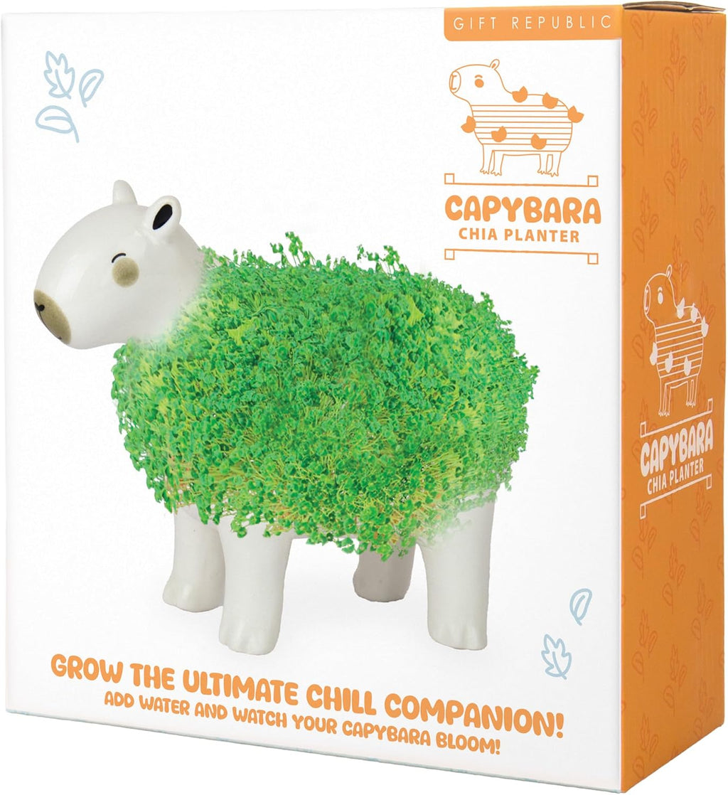 Gift Republic Capybara Chia Planter Desktop Sprouting Chia Animal Fun Grow Kit