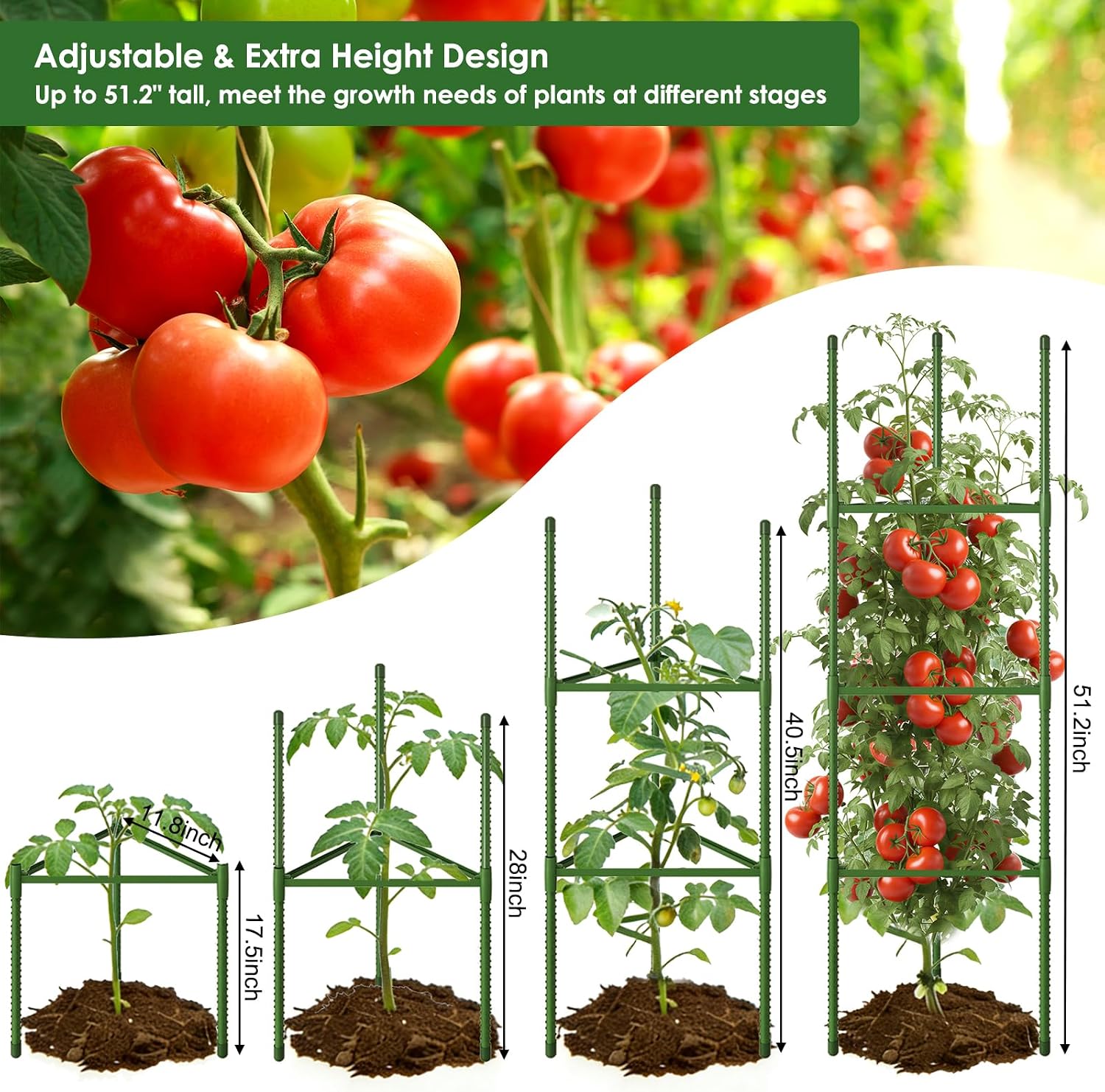 CEWOR 6 Pack Tomato Cage, 51.2 Inch Tall Adjustable Tomato Trellis | Tomato Cages for Garden, Plant Support Structure