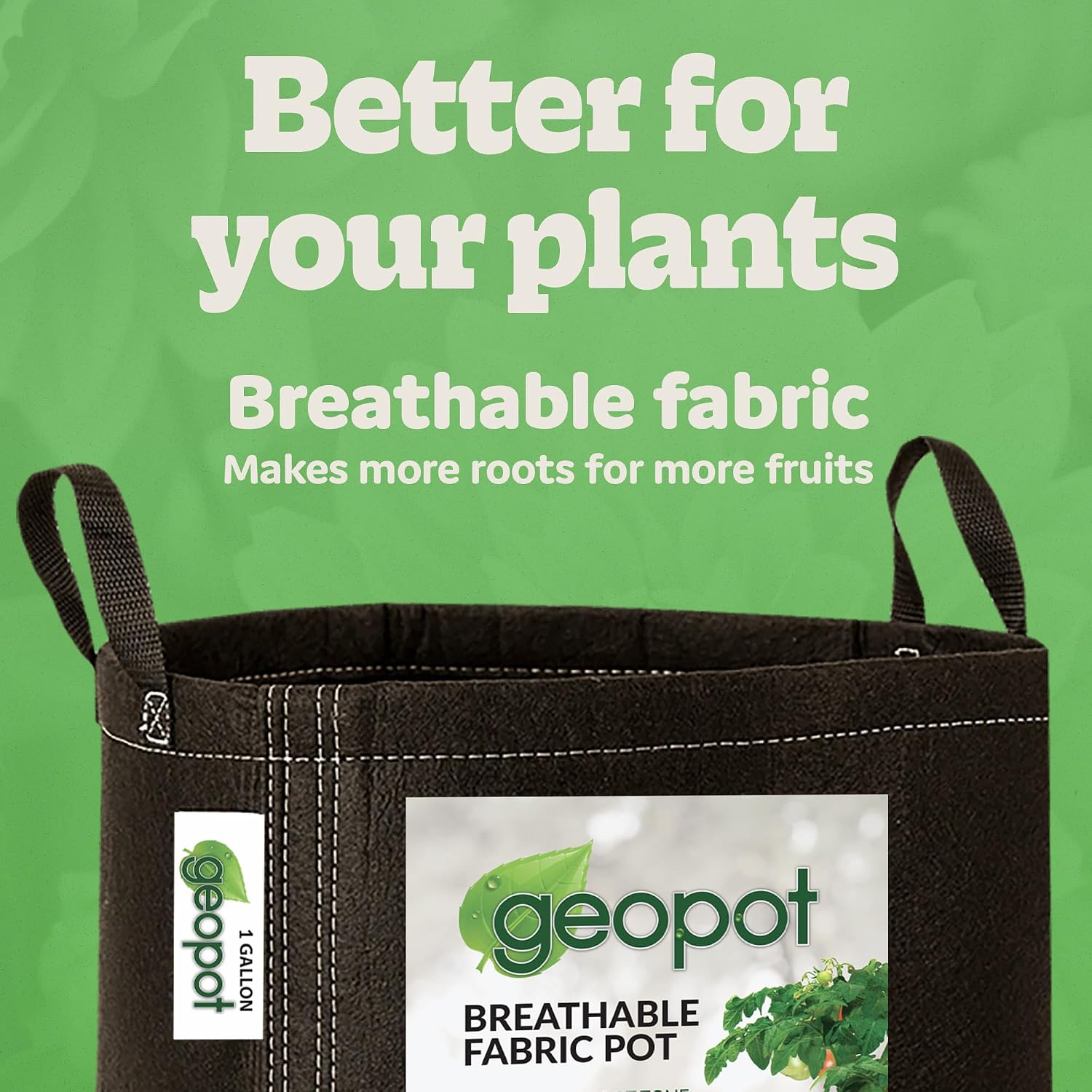 1 Gallon Fabric Grow Bags with Handles for Vegetables, Houseplants, Herbs & Flowers | 10-Pack | Fabric Pots for