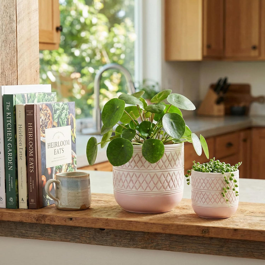 HERDUK Decorative Ceramic Flower Pots Set of 2 – 6 & 4.7 Inch Indoor Plant Pots, Boho Decorative Pots for Plants
