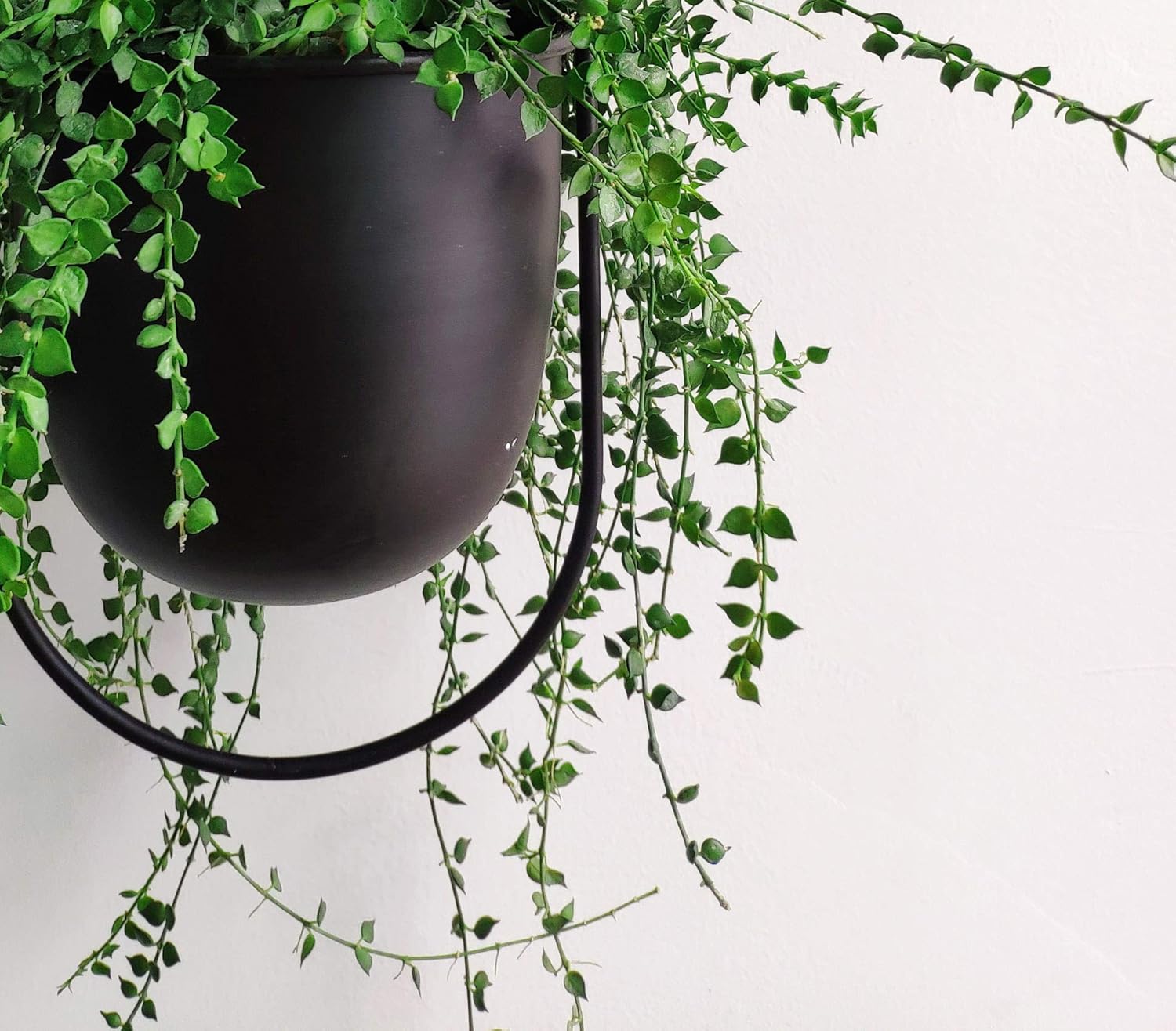 RISEON Boho Black Metal Plant Hanger,Metal Wall and Ceiling Hanging Planter, Modern Planter, Mid Century Flower Pot