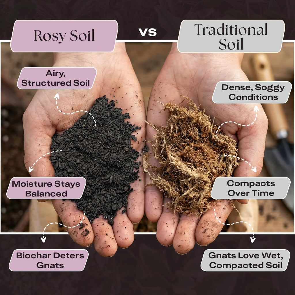 Rosy Soil Seedling Seed Starter Soil Mix, Organic, Peat-Free, 4 Quarts | Worm Castings, Biochar and Mycorrhizae Blend