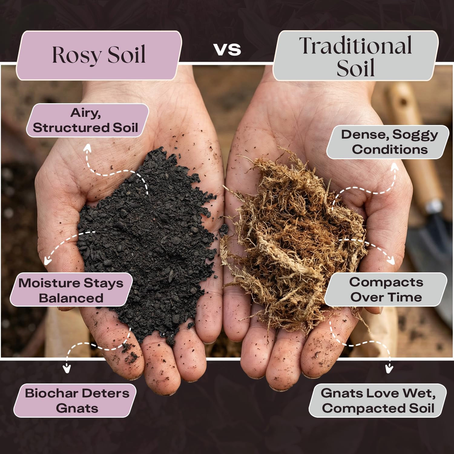 Rosy Soil Seedling Seed Starter Soil Mix, Organic, Peat-Free, 4 Quarts | Worm Castings, Biochar and Mycorrhizae Blend
