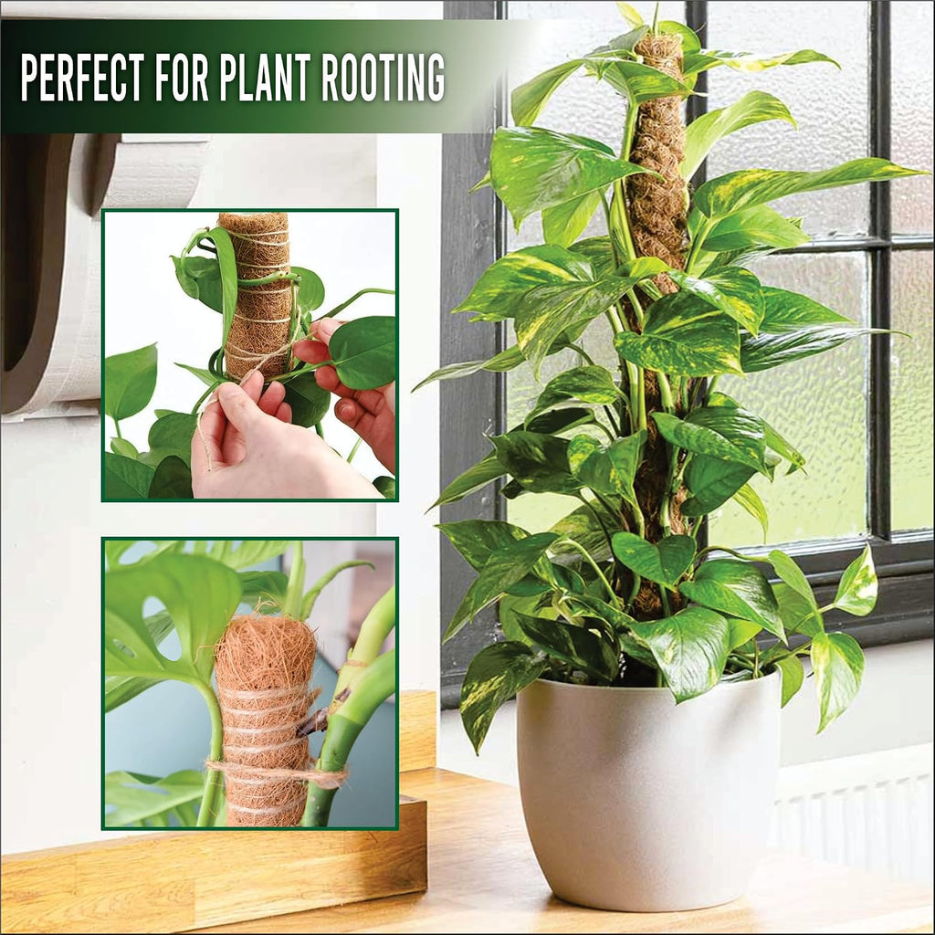 Moss Pole Pack of 4 – 50CM Monstera Plant Support | Natural Coco Coir Plant Poles for Indoor Plants | Extendable Moss