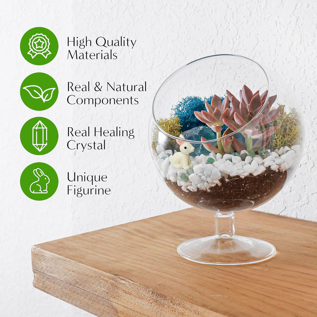 Creations by Nathalie DIY 6" Chalice Terrarium Kit Build Your Own Glass Terrarium for Adults & Teens, DIY Terrarium Kit