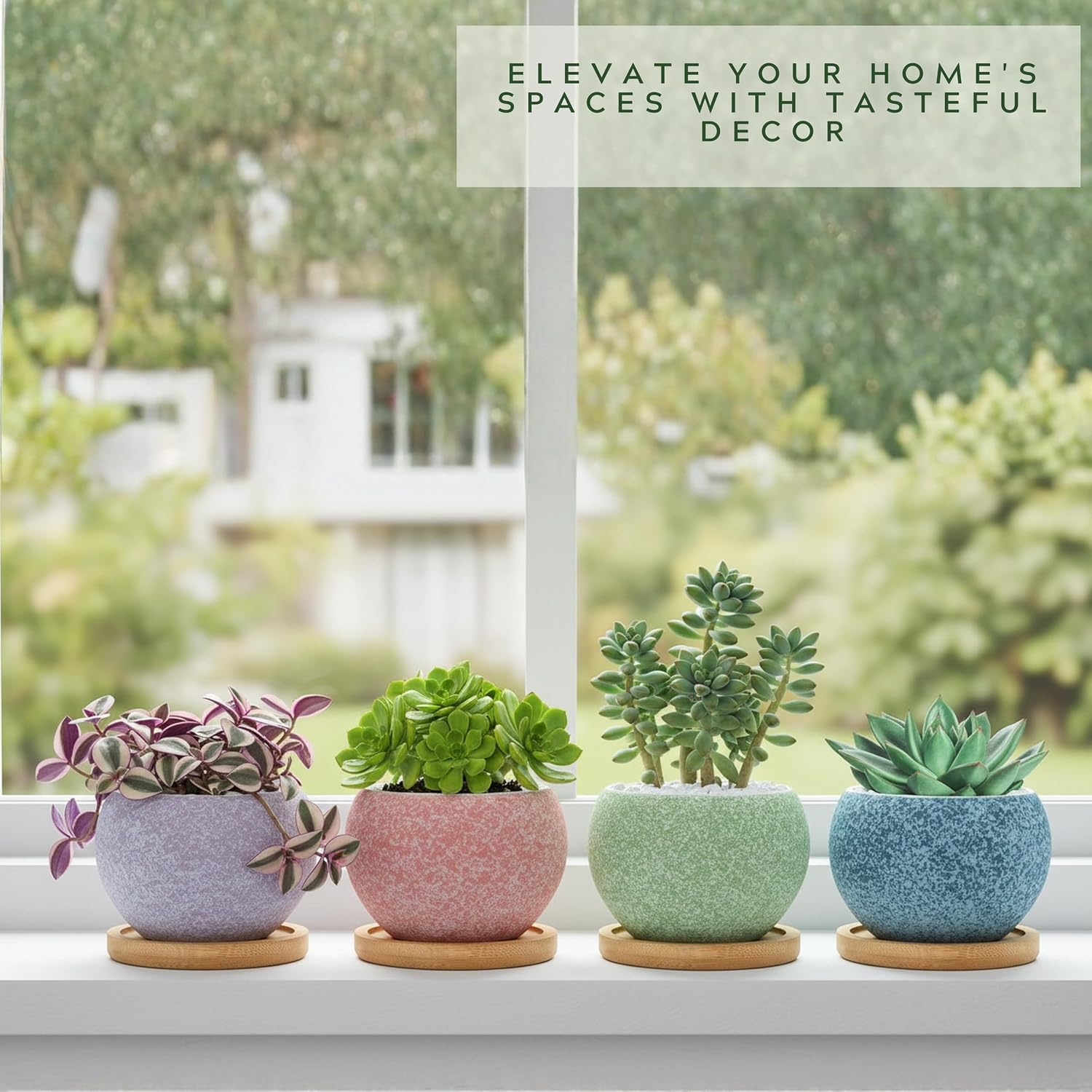 3 inch Ceramic pots for Plants, Small Succulent Pots Set with Drainage, 6 Pack Flower Pot for Indoor Plant, Planters
