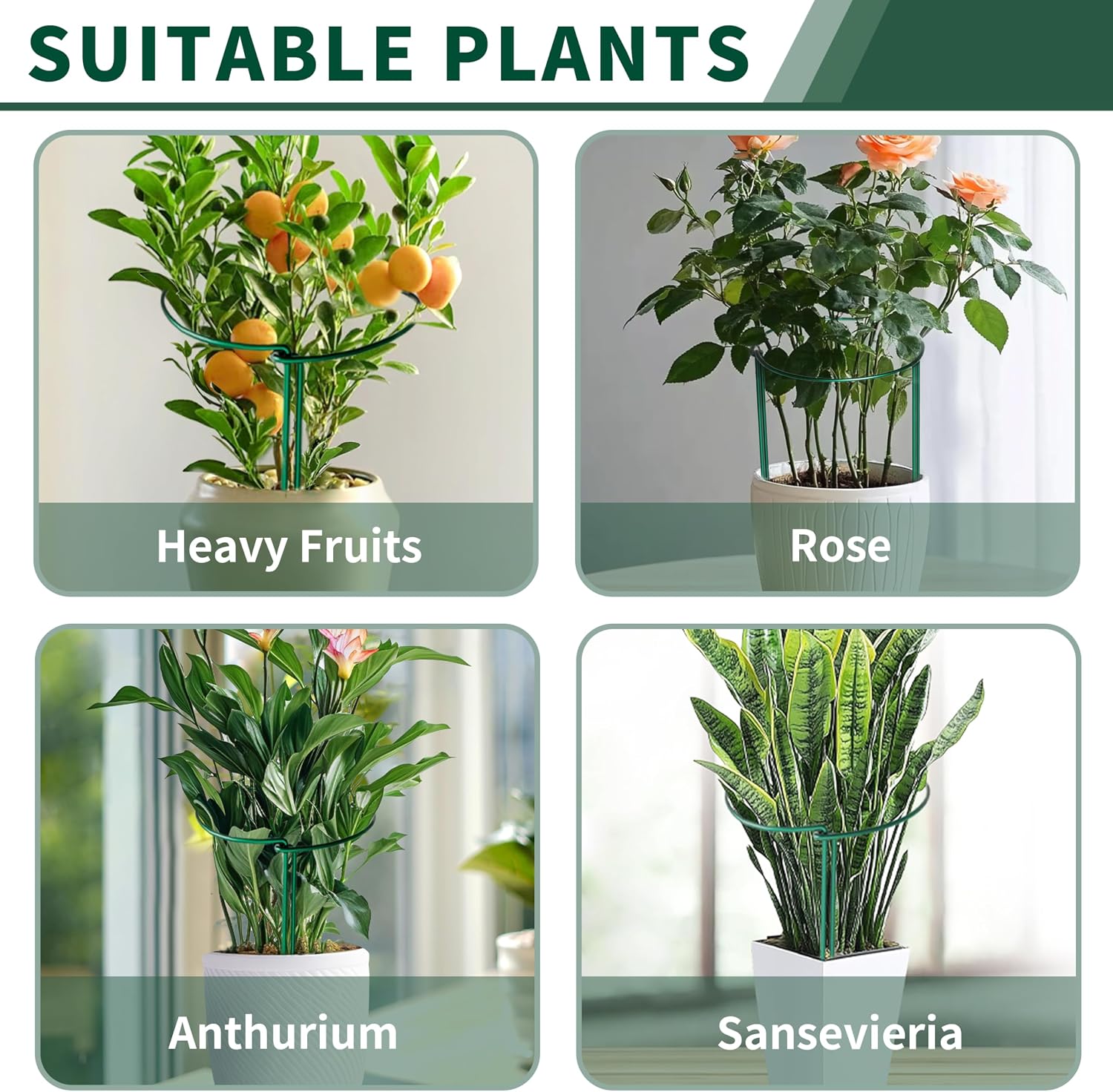 10 Pack Peony Cages and Supports, 10" (W) x 16"(H) Plant Support, Heavy-Duty Metal Plant Support Stakes, Plant Stakes