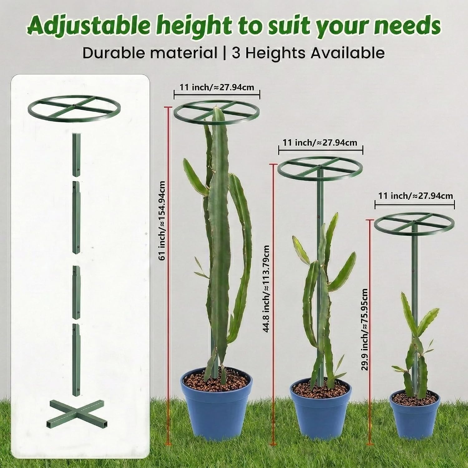 61" Adjustable Dragon Fruit Trellis, Round Ring, Green | Top apex ring supports fruit. Anti-tipping cross-base sits