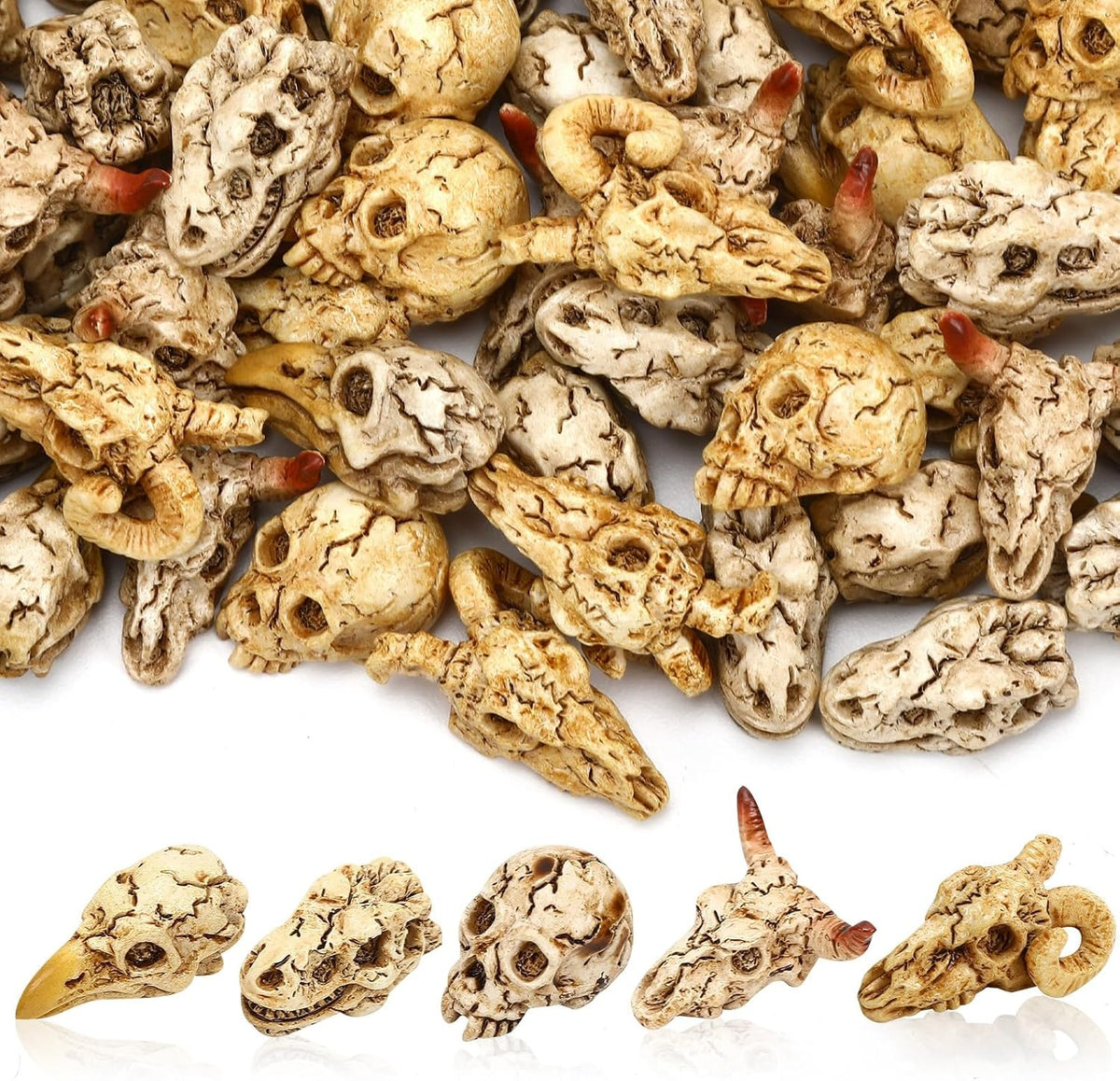 60Pcs Halloween Mini Resin Animal Skulls Heads Tiny Skeletons