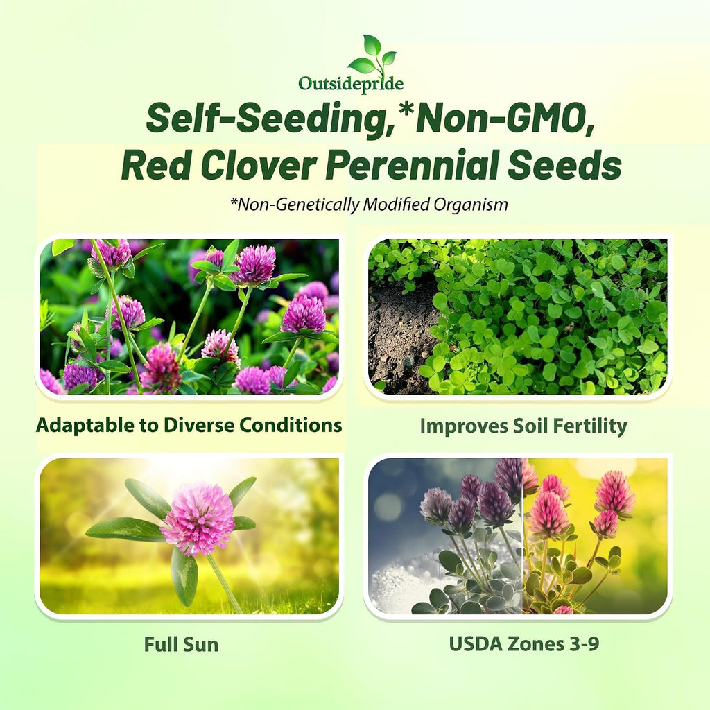 Outsidepride Perennial Red Clover Seeds - 5 lbs. Self-Seeding, Nitrocoated, Inoculated for Lawn, Yard, Forage, Pasture