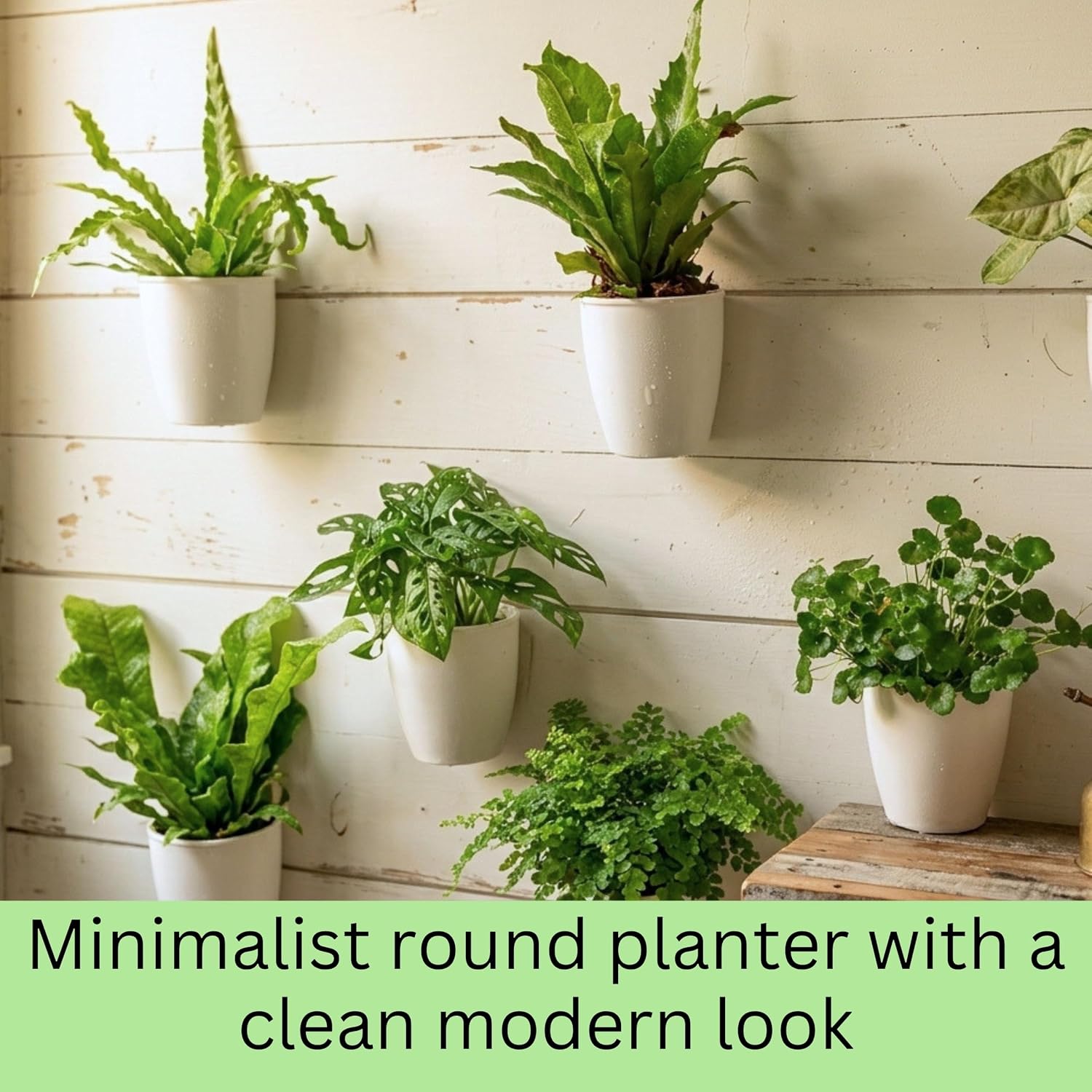 LaLaGreen Wall Planter for Indoor Plants (5in, 10 Pack) White Self-Watering | Wall Mounted Living Hanging Eco Wall