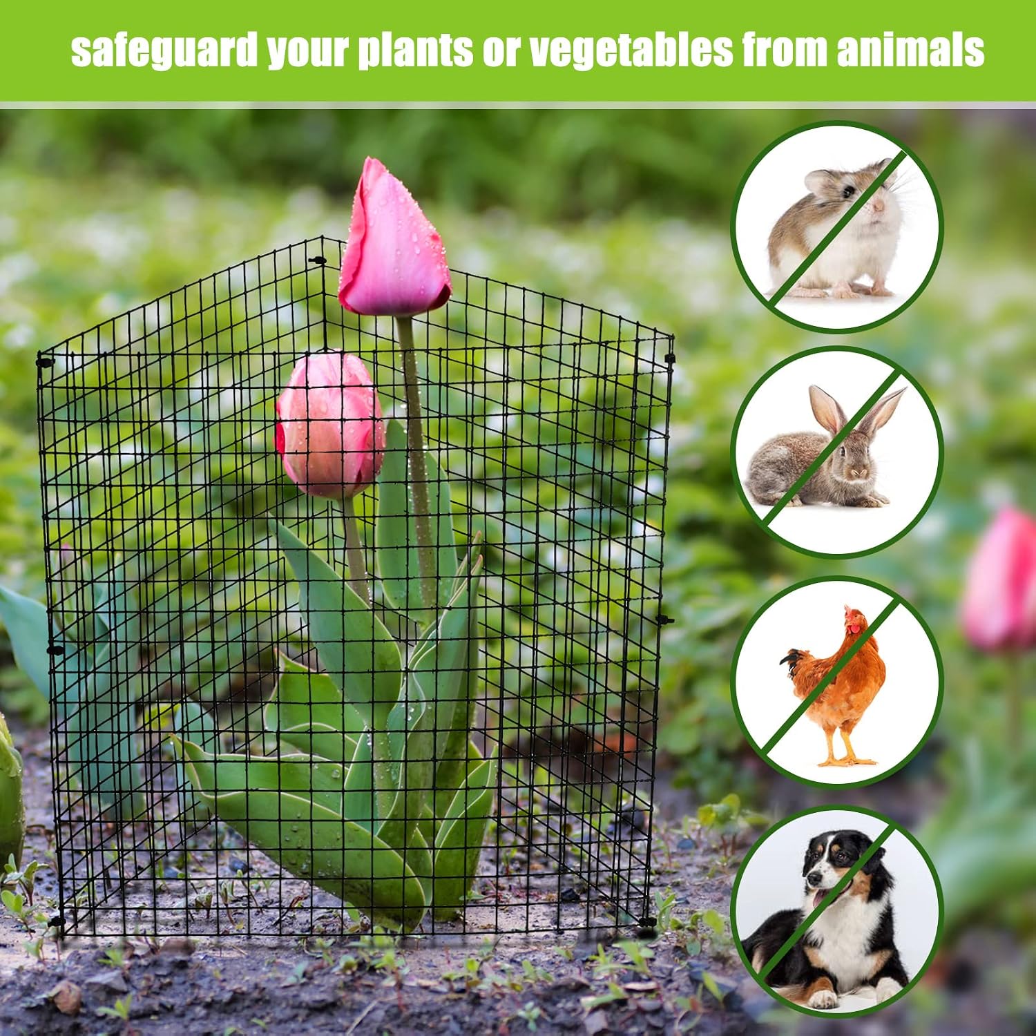 Zubebe 8 Pack Small Wire Plant Protectors Square Plant Protectors from Animals Mesh Cage Chicken Wire Cloche for Shrubs