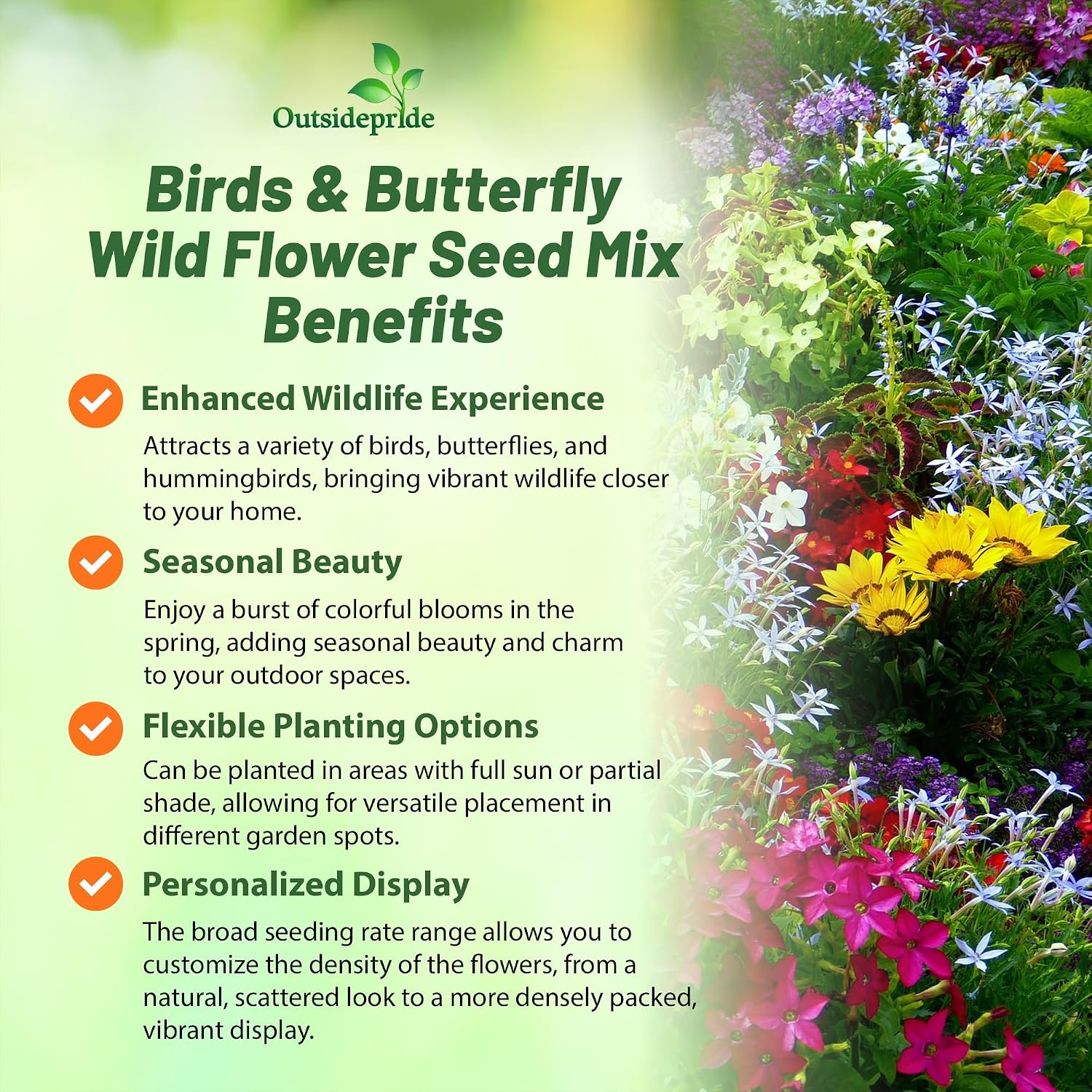 Outsidepride Birds & Butterfly Wild Flower Seed Mix - 1 Lb. Premium Blend of Annual & Perennial Wildflower Seeds for