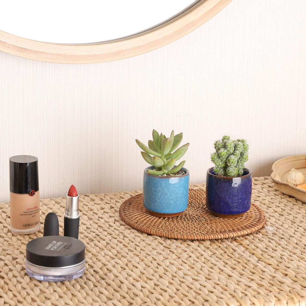 T4U 2.5 Inch Small Ceramic Succulent Planter Pot with Drainage Hole Set of 12, Ice Crack Glaze Plant Container for
