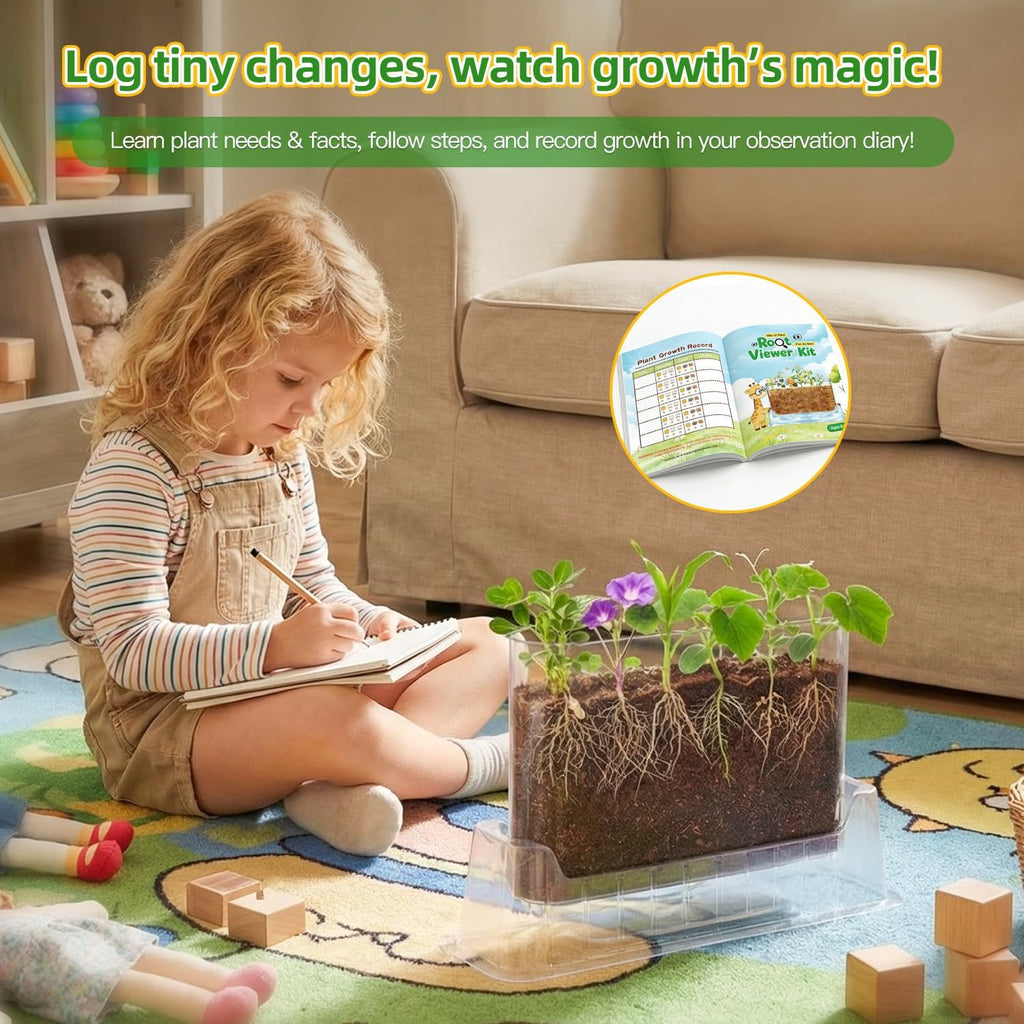 TitaniX Root Viewer Kit for Kids with 6 Seed Varieties, STEM Science Toy & Craft Growing Kits for Boys & Girls, Grow