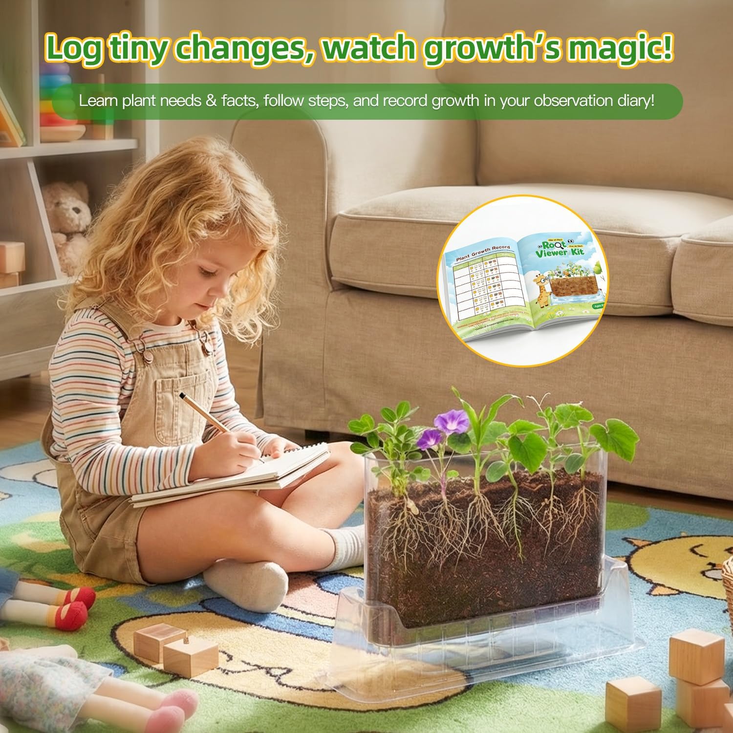 TitaniX Root Viewer Kit for Kids with 6 Seed Varieties, STEM Science Toy & Craft Growing Kits for Boys & Girls, Grow