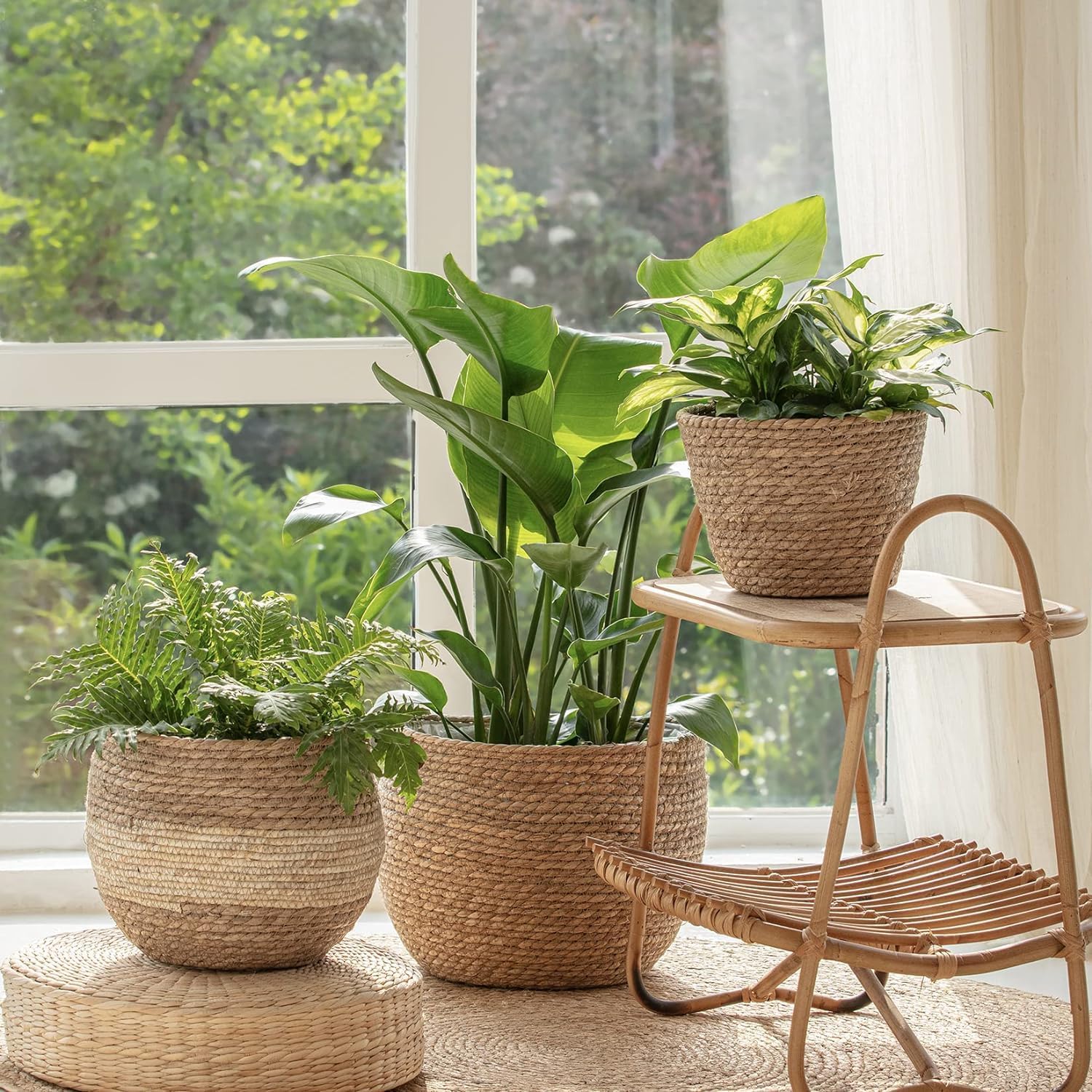 LA JOLIE MUSE Seagrass Basket Planters for Indoor Plants, Flower Pot 3 Pack | 13.5+12+9 Inch, Handwoven Natural