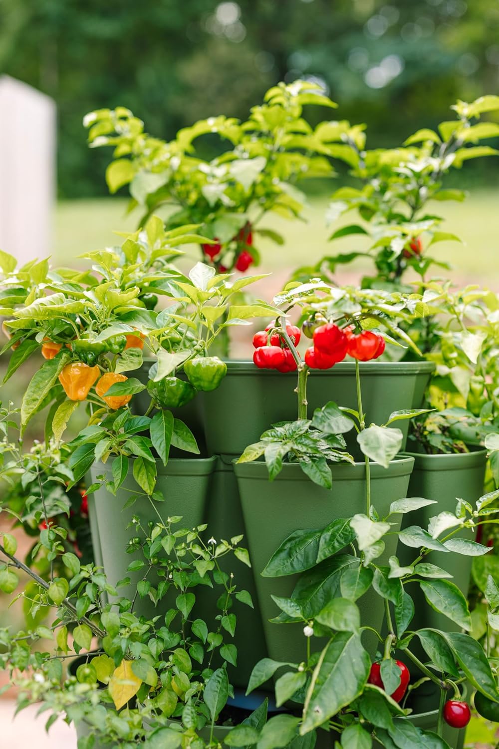 Patented Large 5 Tier Vertical Garden Planter with Patented Internal Watering System Great for Growing a Variety of