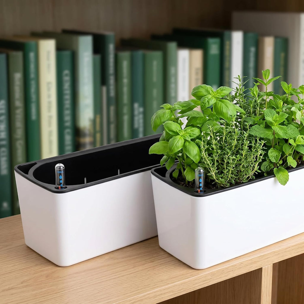 Fasmov 2 Pack Rectangle Self Watering Planter with Water Level Indicator, 16x 5.5 Inch Window Gardening Box, Decorative