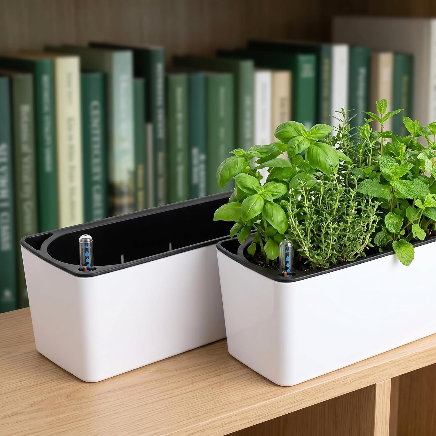 Fasmov 2 Pack Rectangle Self Watering Planter with Water Level Indicator, 16x 5.5 Inch Window Gardening Box, Decorative
