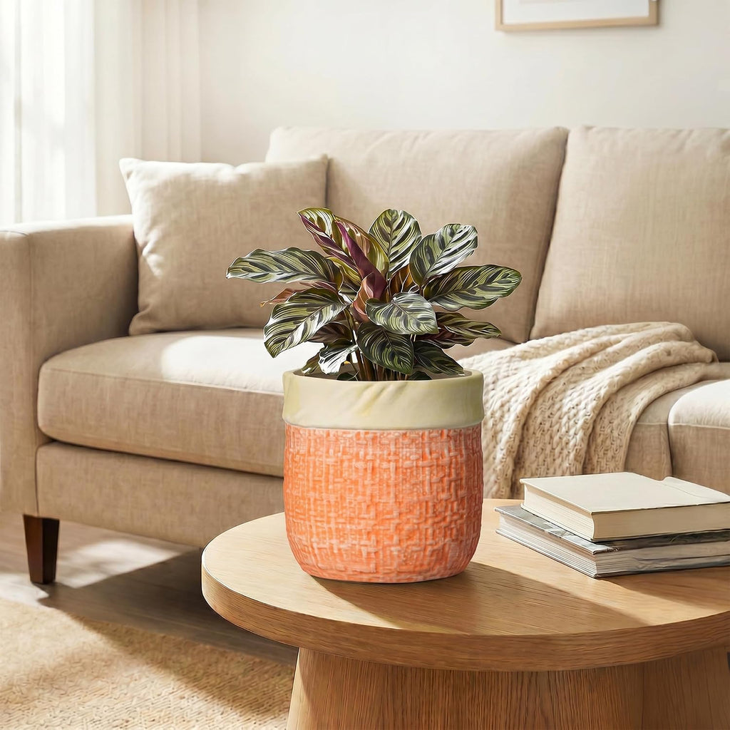 Ceramic Pots for Plants, 6 Inch Planter, Round Plant Pot, Orange | Boho Plant Pot for Indoor Plants, Decorative Flower