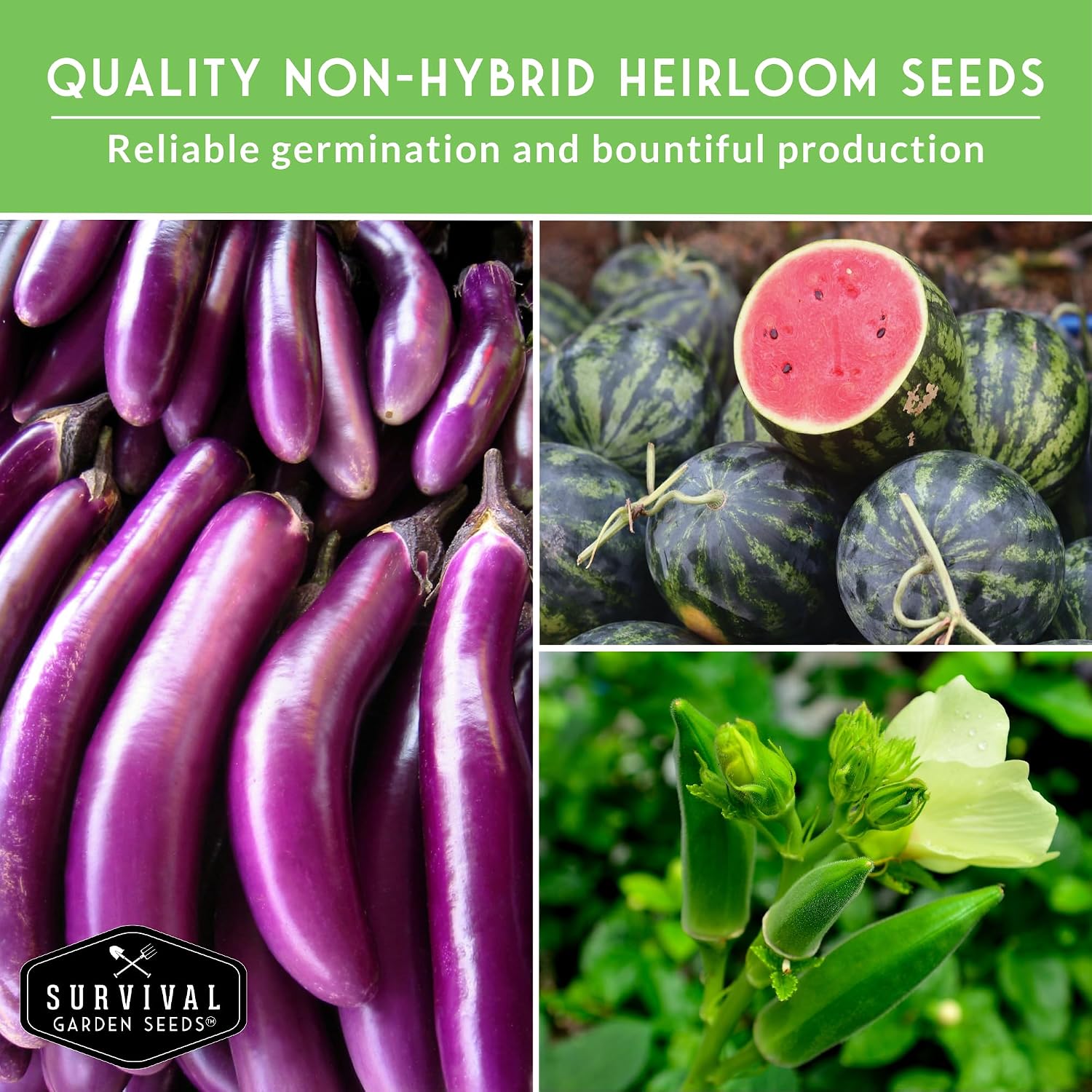 Southern Vegetable Seeds Collection for Planting | 15 Heirloom Heat-Loving Varieties, Okra, Collard Greens, Purple Hull