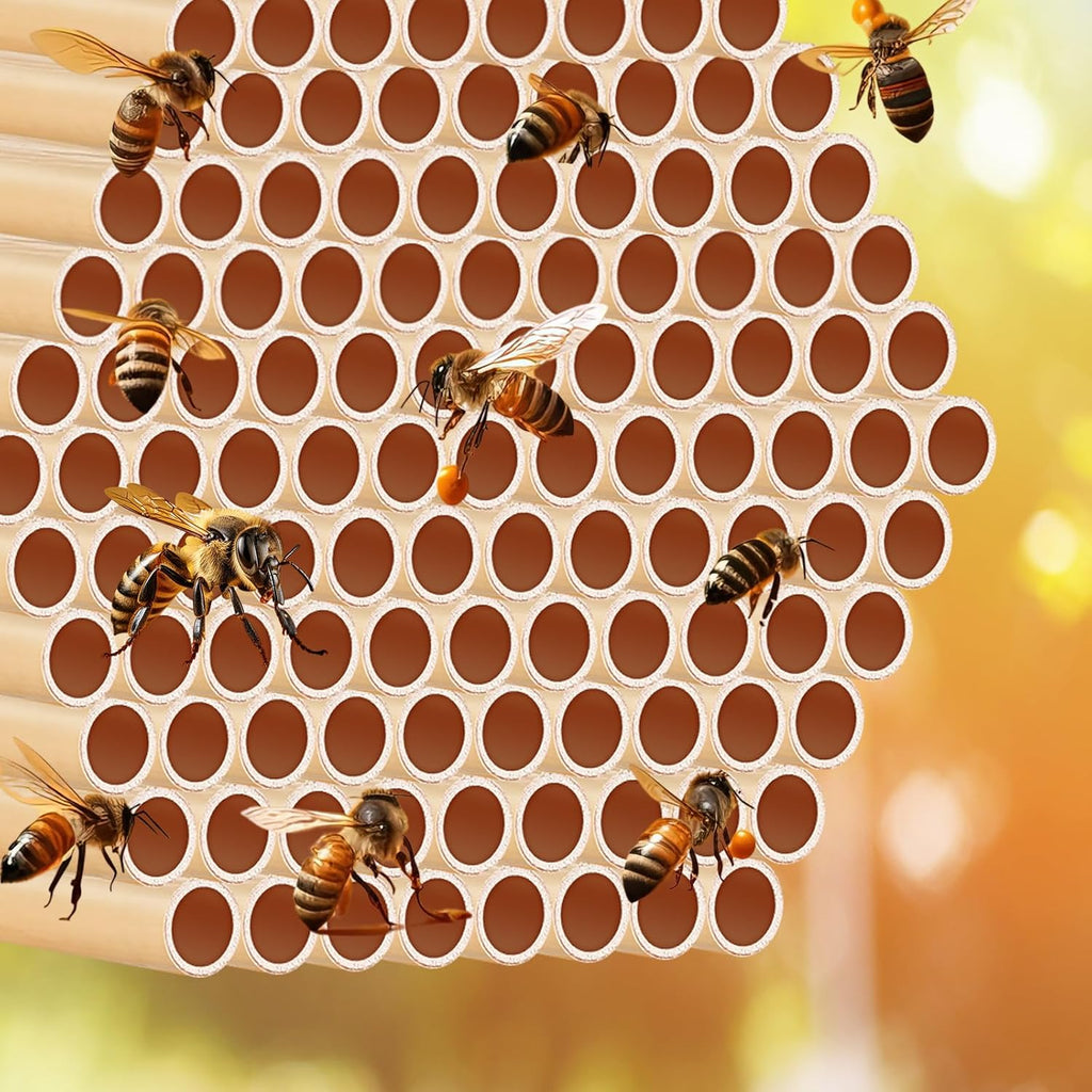 Tinideya 250 Pcs Phragmite Reed Mason Bee Tubes Set Bee Hotel Nest Box Pollinator Bee Box for Mason Bee Houses Natural