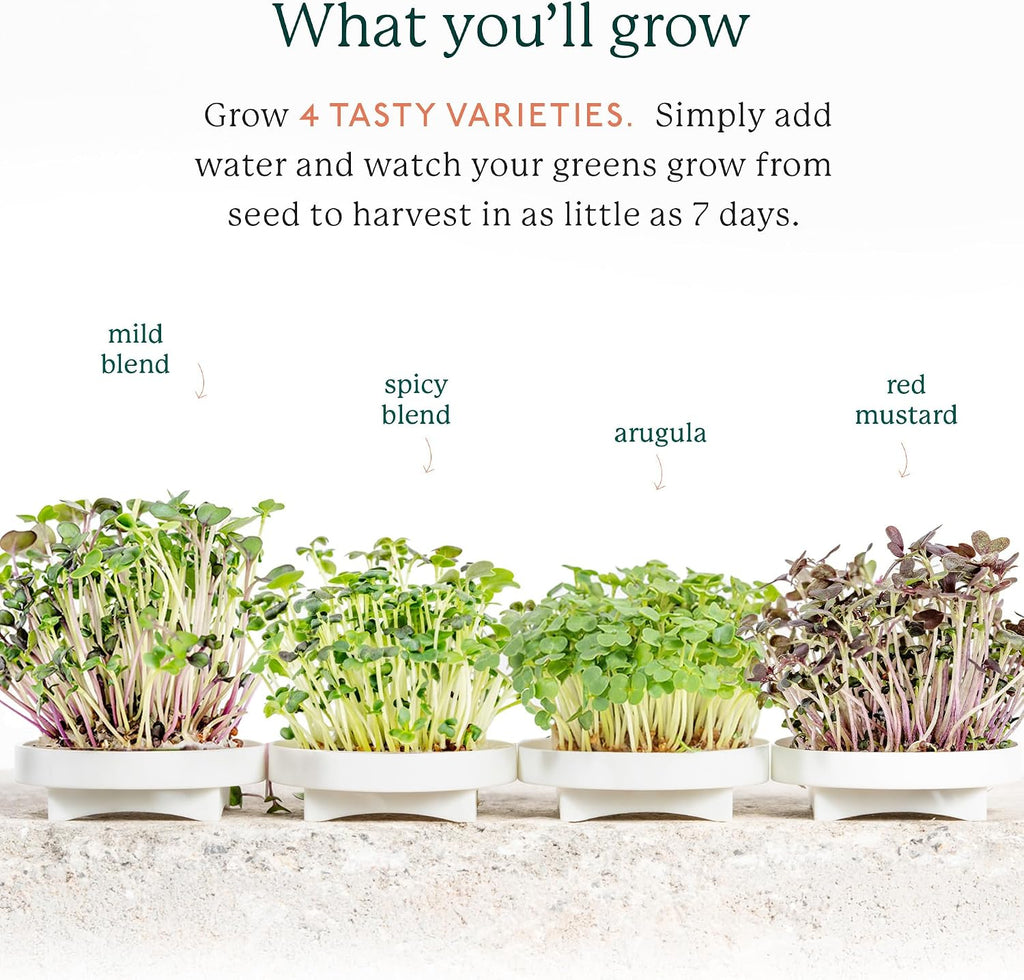 Gardyn Complete Microgreens Growing Kit - Indoor Herb Garden | Indoor hydroponics growing system nursery seed starter