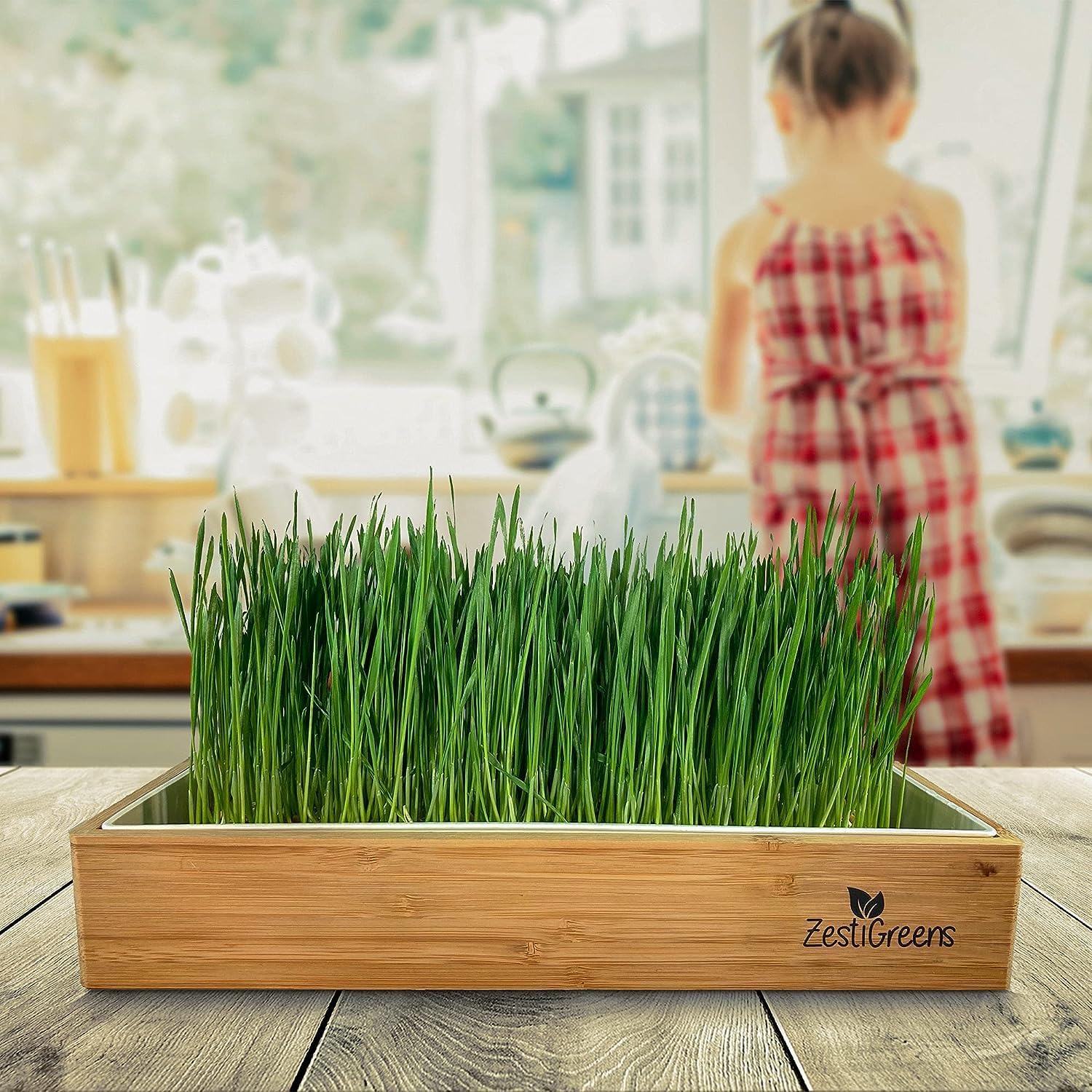 Wheatgrass Growing Kit - Self-Watering Reusable Tray & USA Seeds | Organic kit with soilless grow mats, blackout lid