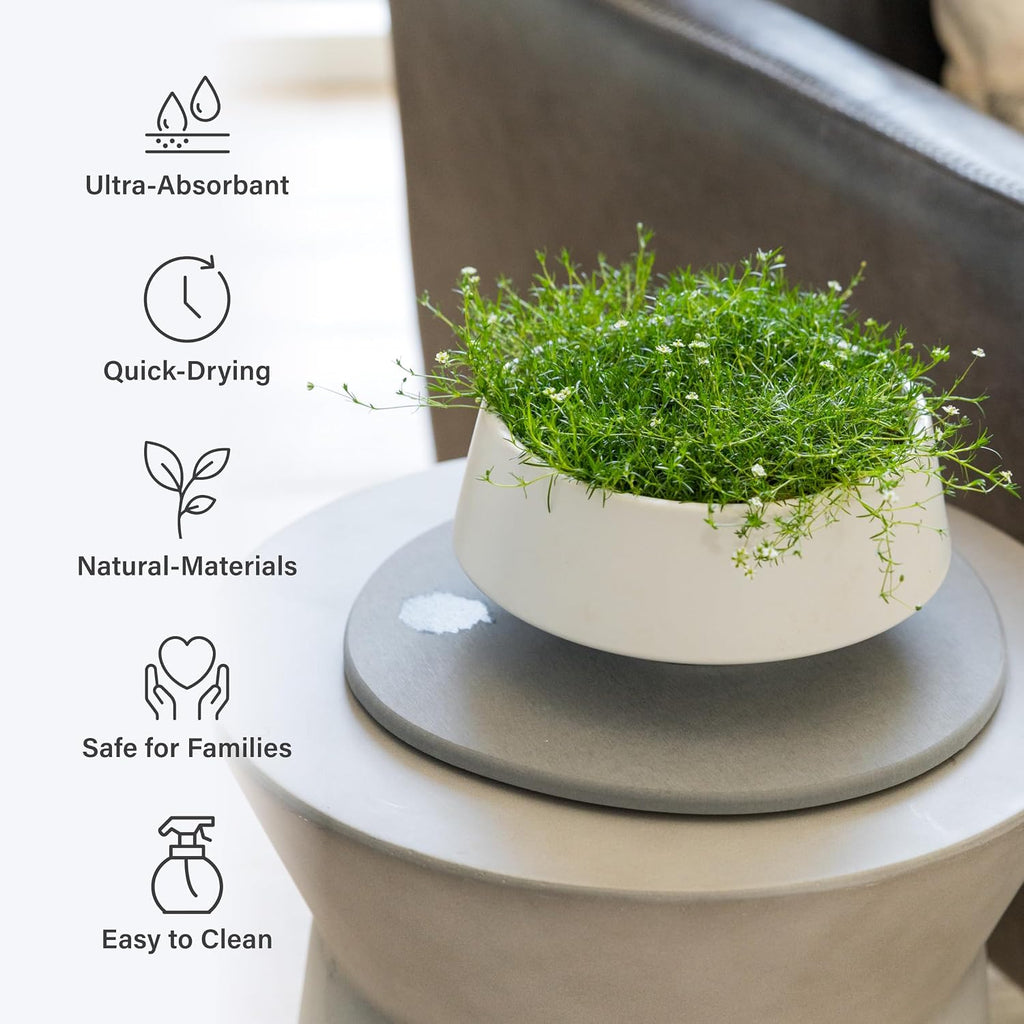Dorai Home Stone Plant Pots Saucer Set 11.8" - Diatomite Water-Absorbing Trays for Indoor Plants, Ideal for Shelves &