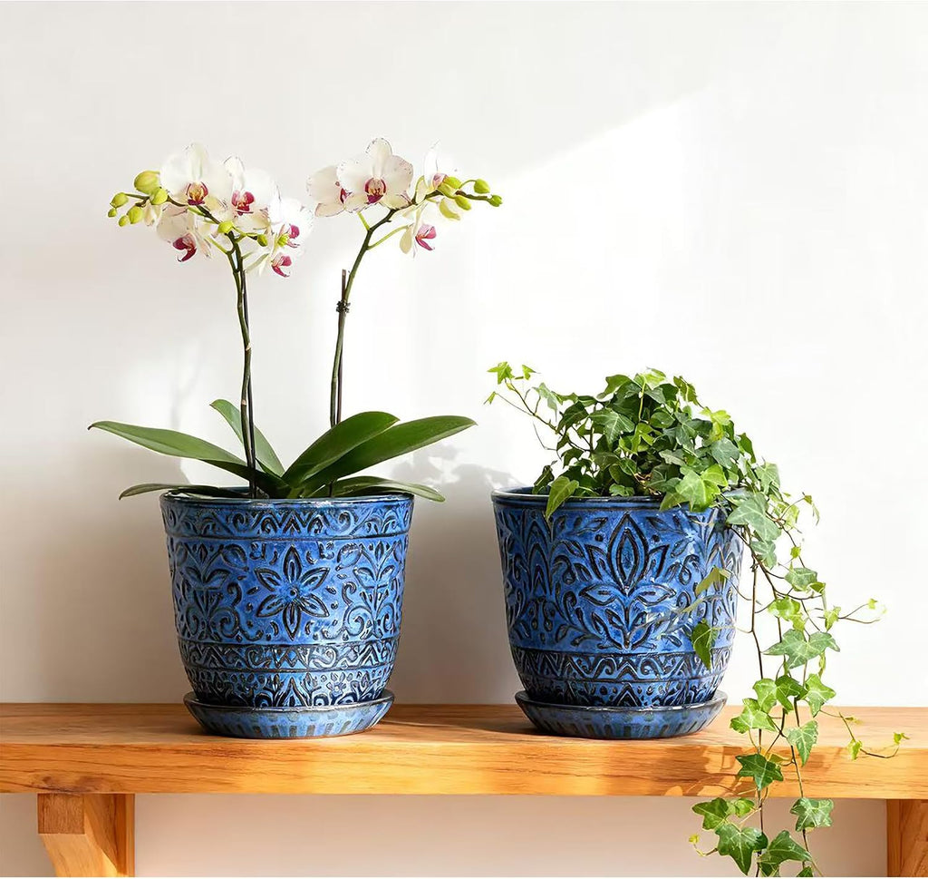 Gepege Ceramic Plant Pots, 6 Inch Indoor Planters with Drainage & Saucers | Ceramic pots for plants with drainage