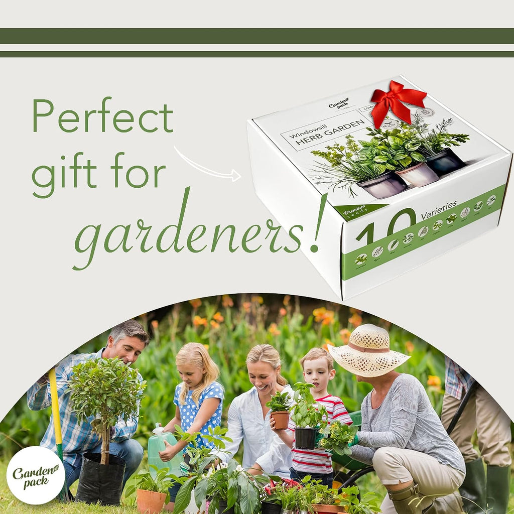10 Herb Indoor Window Herb Garden - Includes Pots, Trays, and Compressed Soil for Easy Indoor Herb Growing - Perfect