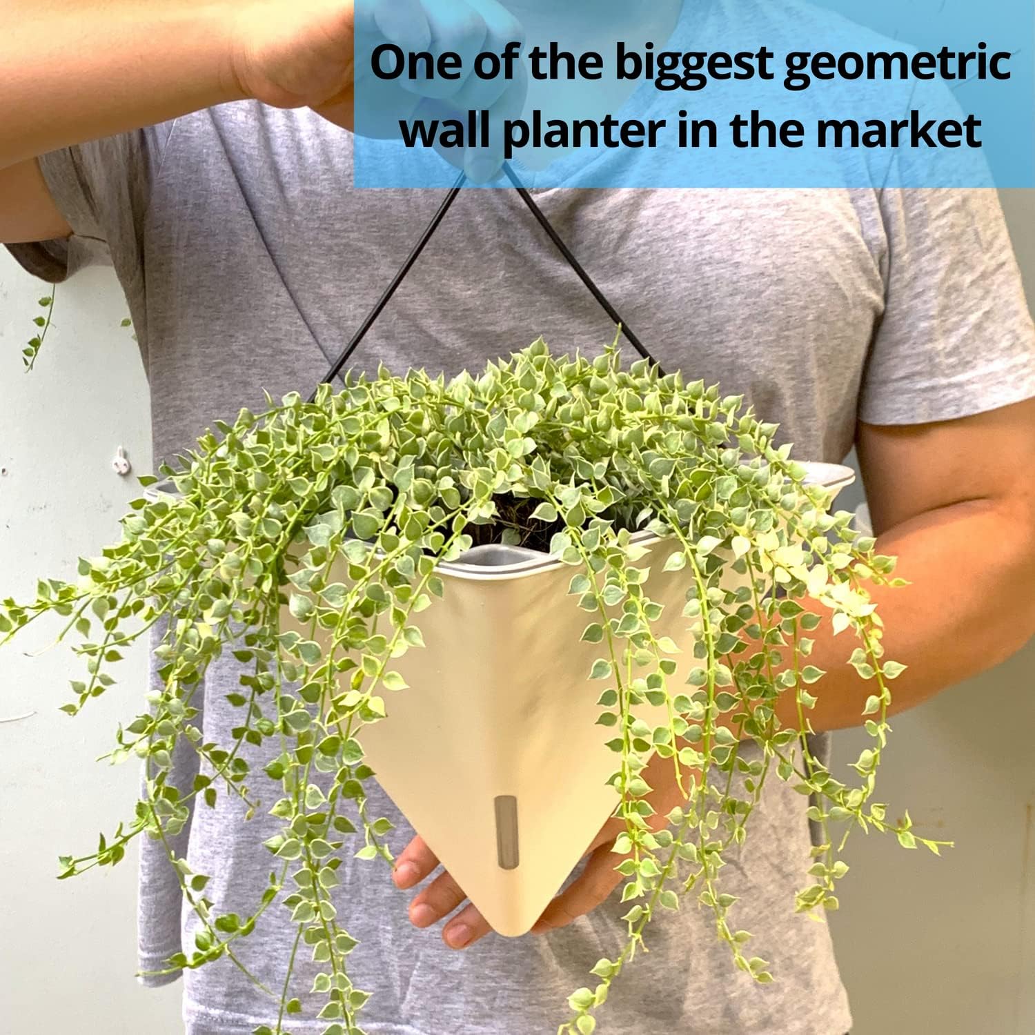 LaLaGreen Wall Planters for Indoor Plants (12in, 2 Pack) White Planter | Large Self Watering Geometric Hanging Flower