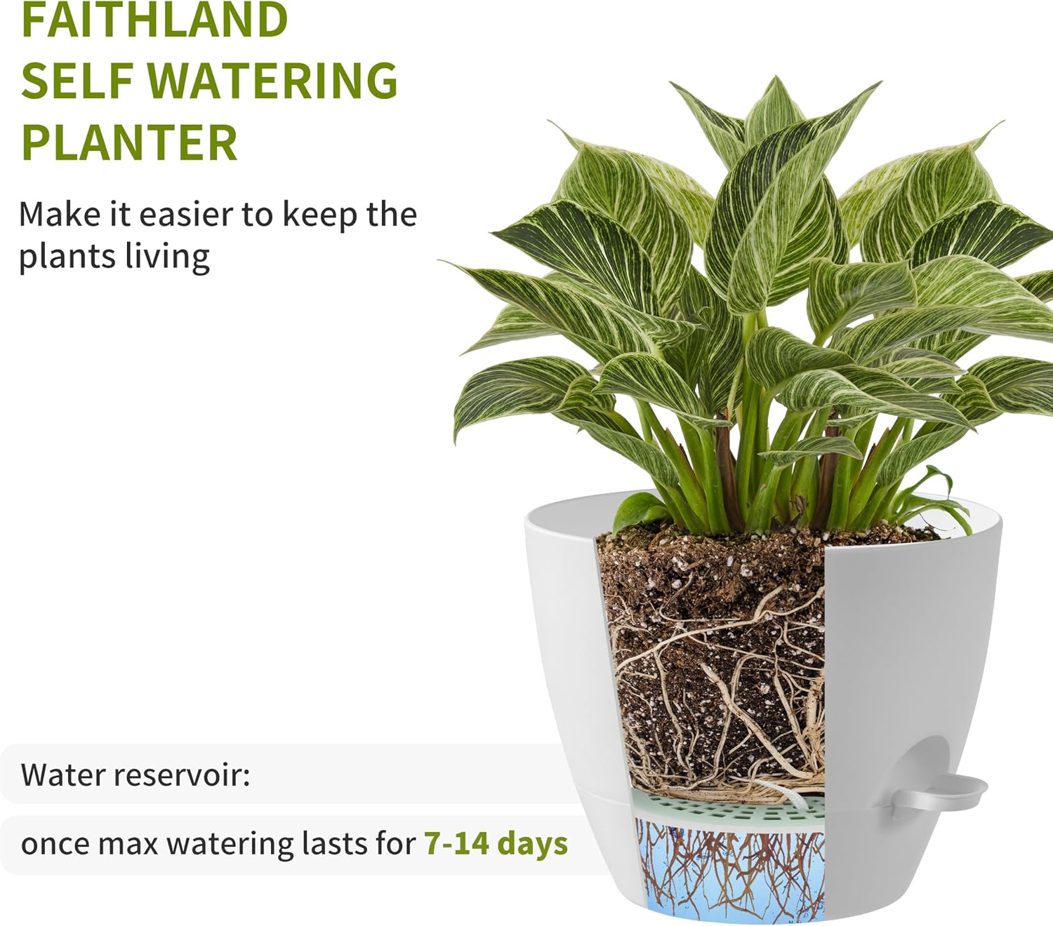 FaithLand 3-Pack Large Planter Pots, 12 10 9 Inch Self Watering Flower Pots for Indoor Outdoor Garden Plants, White