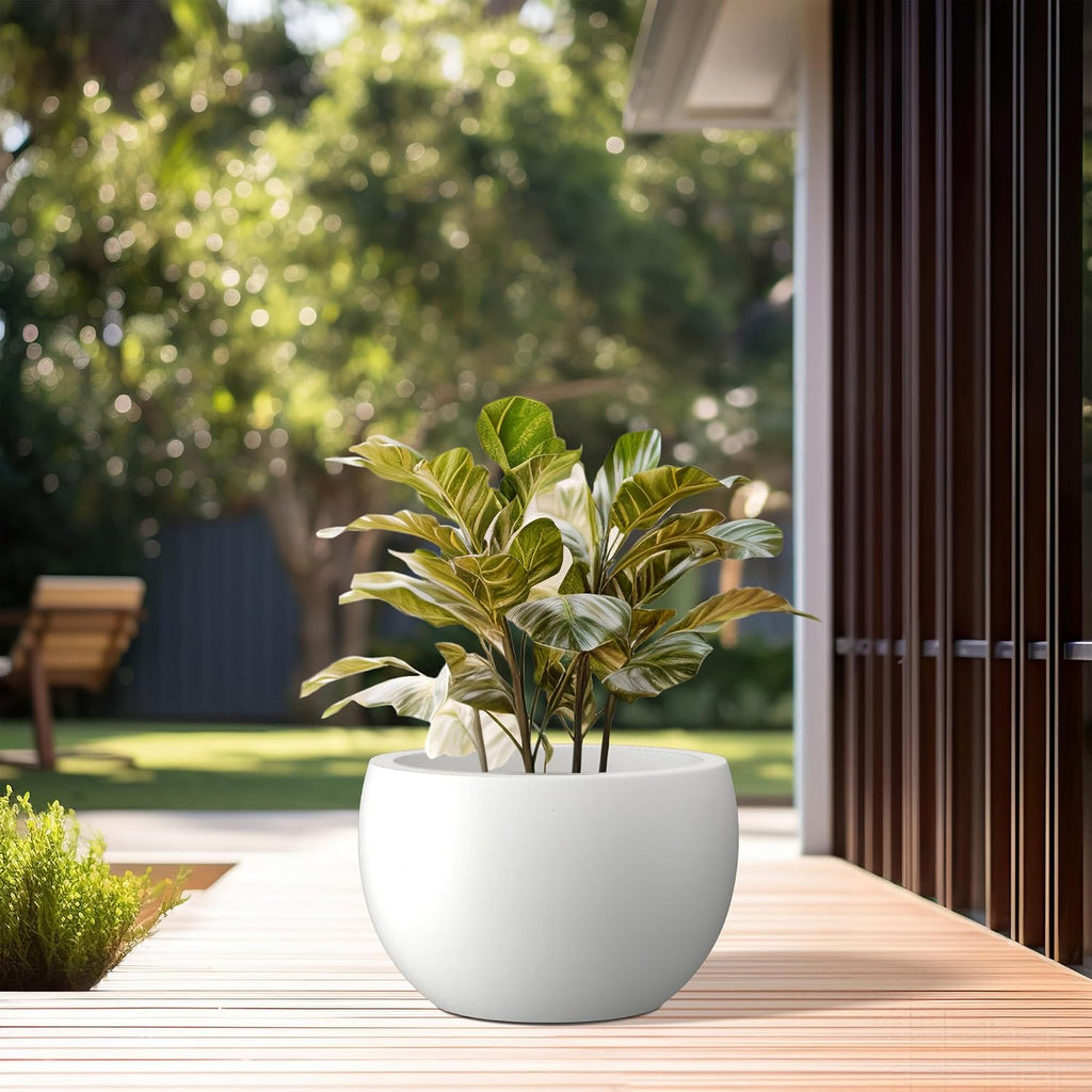 Kante Small Round Bowl White Concrete Planter 11.8" Dia, Outdoor | Rubber Plug for Indoor, Drainage for Garden