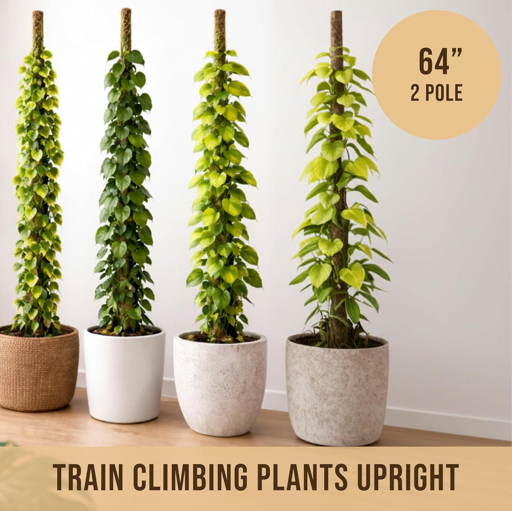 Craft911 Moss Pole Monstera Plant Support – 2 Pack 64” Bendable Moss Pole Monstera Plant Support, Plant Stakes for