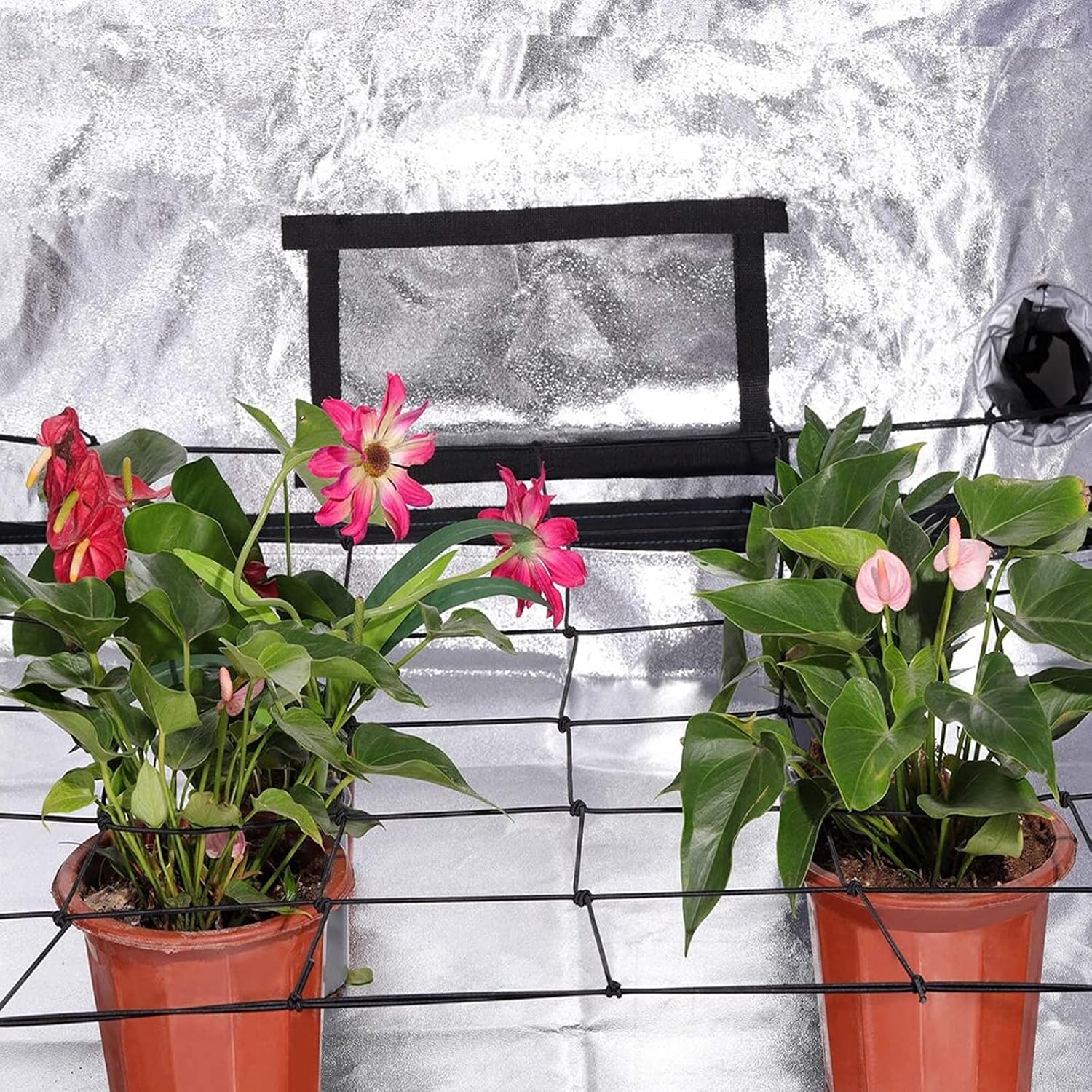 4PCS Grow Tent Net, Flexible Net Trellis Fits 4x4ft and More Size, Stretchy Trellis Netting with Hooks for Garden