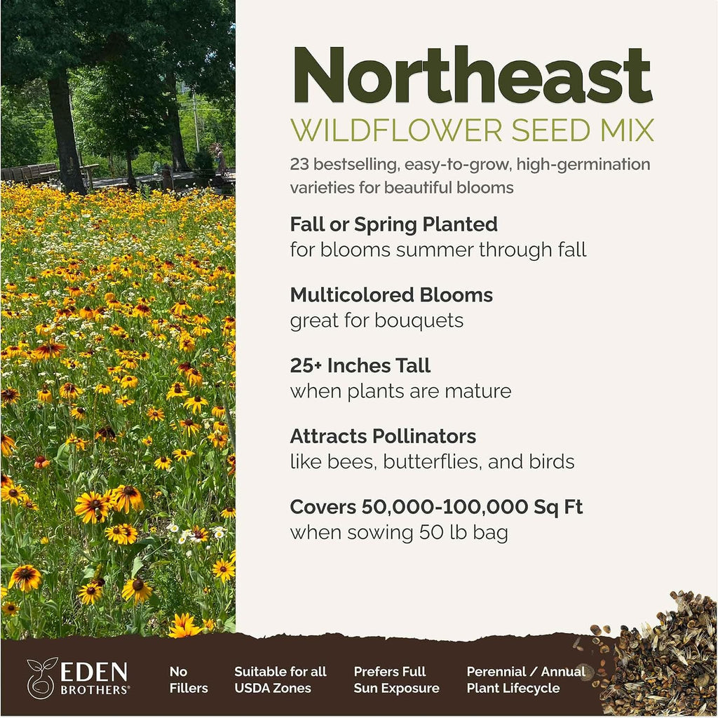 Eden Brothers Northeast Wildflower Mixed Seeds for Planting, 50 lb, 24,000,000+ Seeds with Cosmos, Candytuft, Shasta