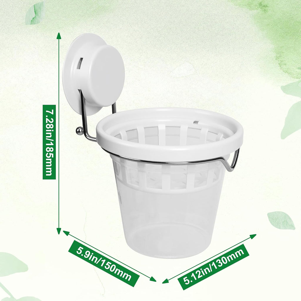 3 Pcs Window Propagation Stations Plastic Wall Hanging Planter with Suction Cup Holder Window Mounted Plant for