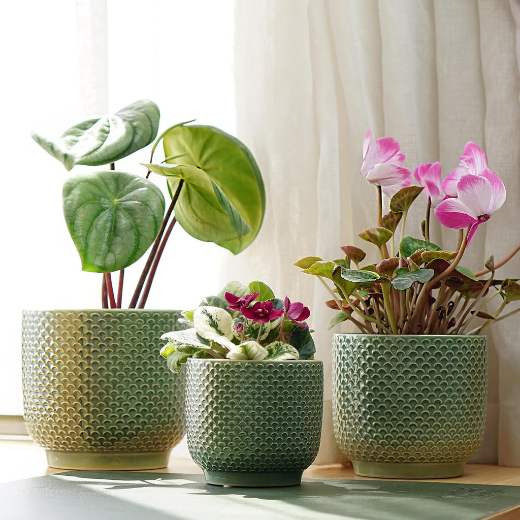 4 + 5 + 6 Inch Ceramic Pots for Indoor Plants, Succulents Plant Pots, Orchid Flower Pot with Drainage Hole, Modern Clay