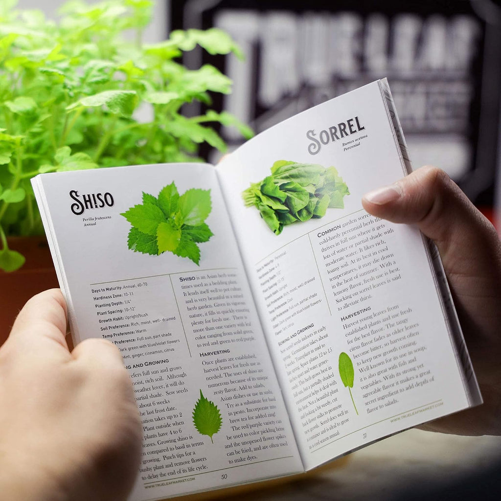 Sustainable Seed Co Culinary Herb Seeds Variety Pack – 10 Non-GMO | Herb Seeds for Indoor & Outdoor Gardens – Includes