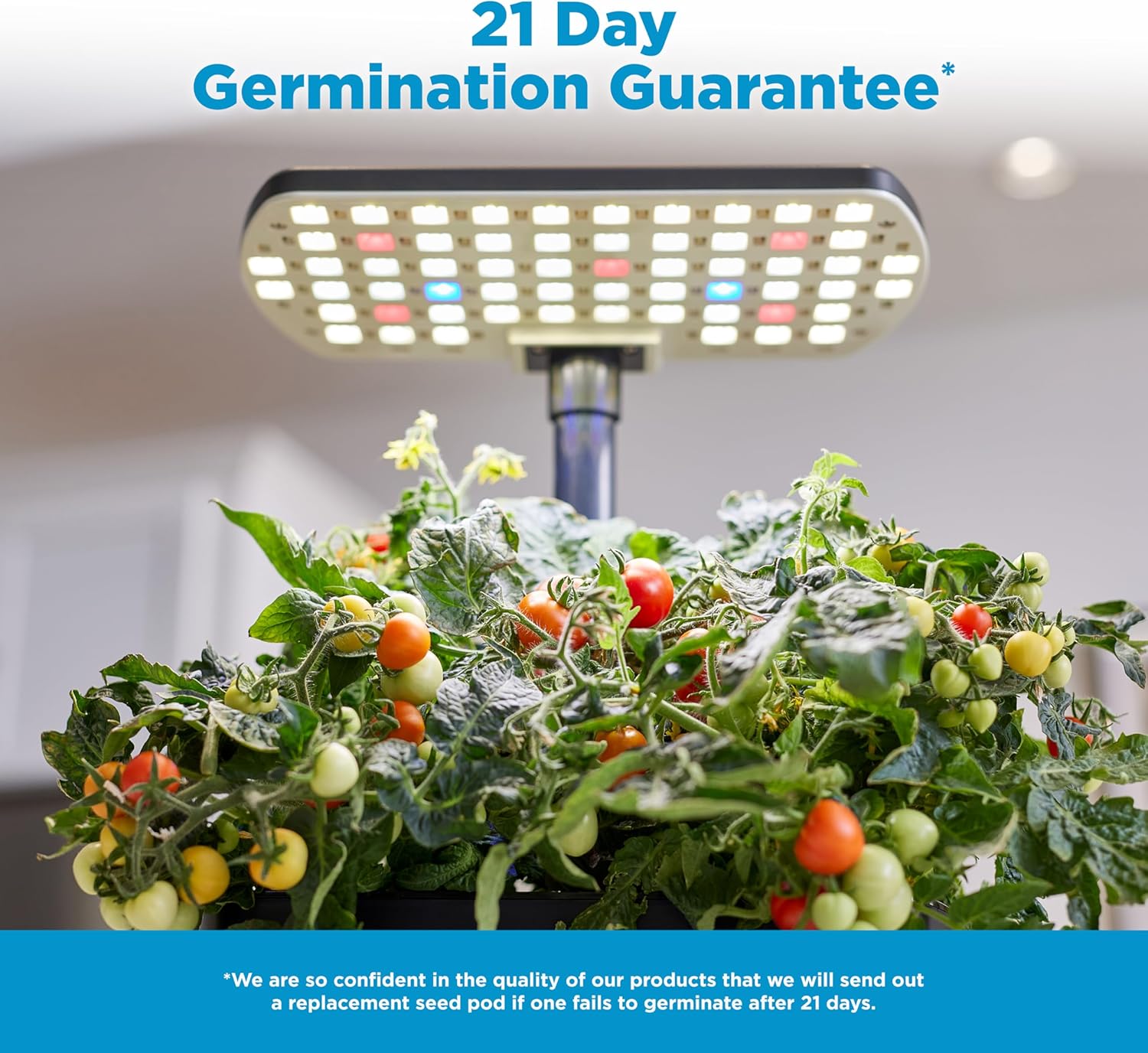 AeroGarden Harvest Lite, Black | Soil-free Indoor Hydroponic Garden with LED Grow Light for Year-Round Gardening of up