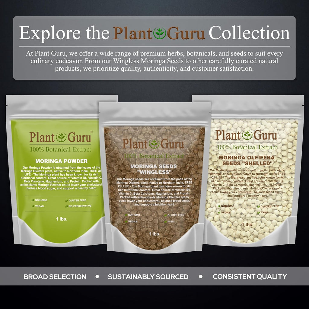 Moringa Seeds Wingless 3 lbs. - PKM1 Variety - Edible Snacking - Planting - Moringa Oleifera - Malunggay - Semillas De