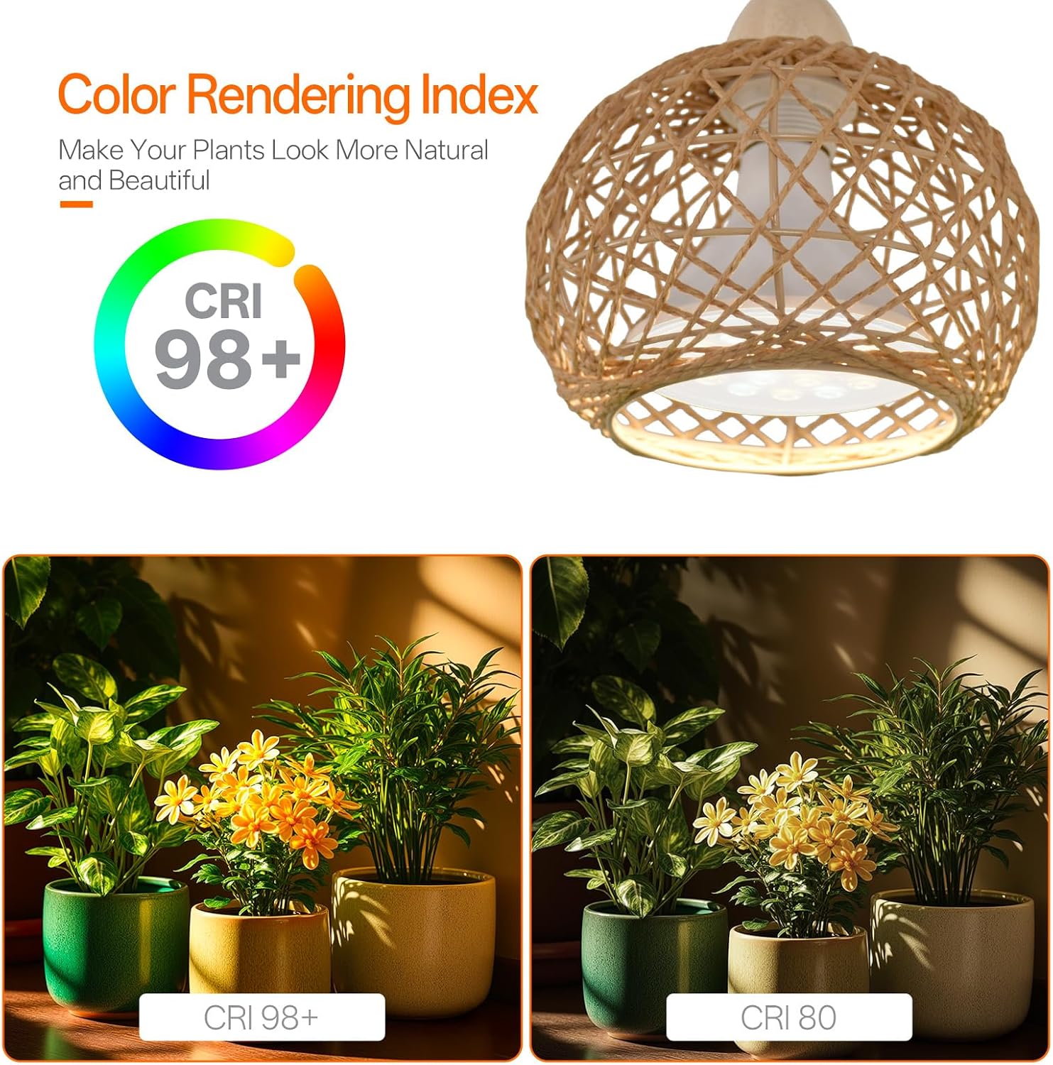 Hanging Grow Lights for Indoor Plants,3800K | 18W Wall-Mounted Decorative Grow Light with Boho Rattan Lantern Shade