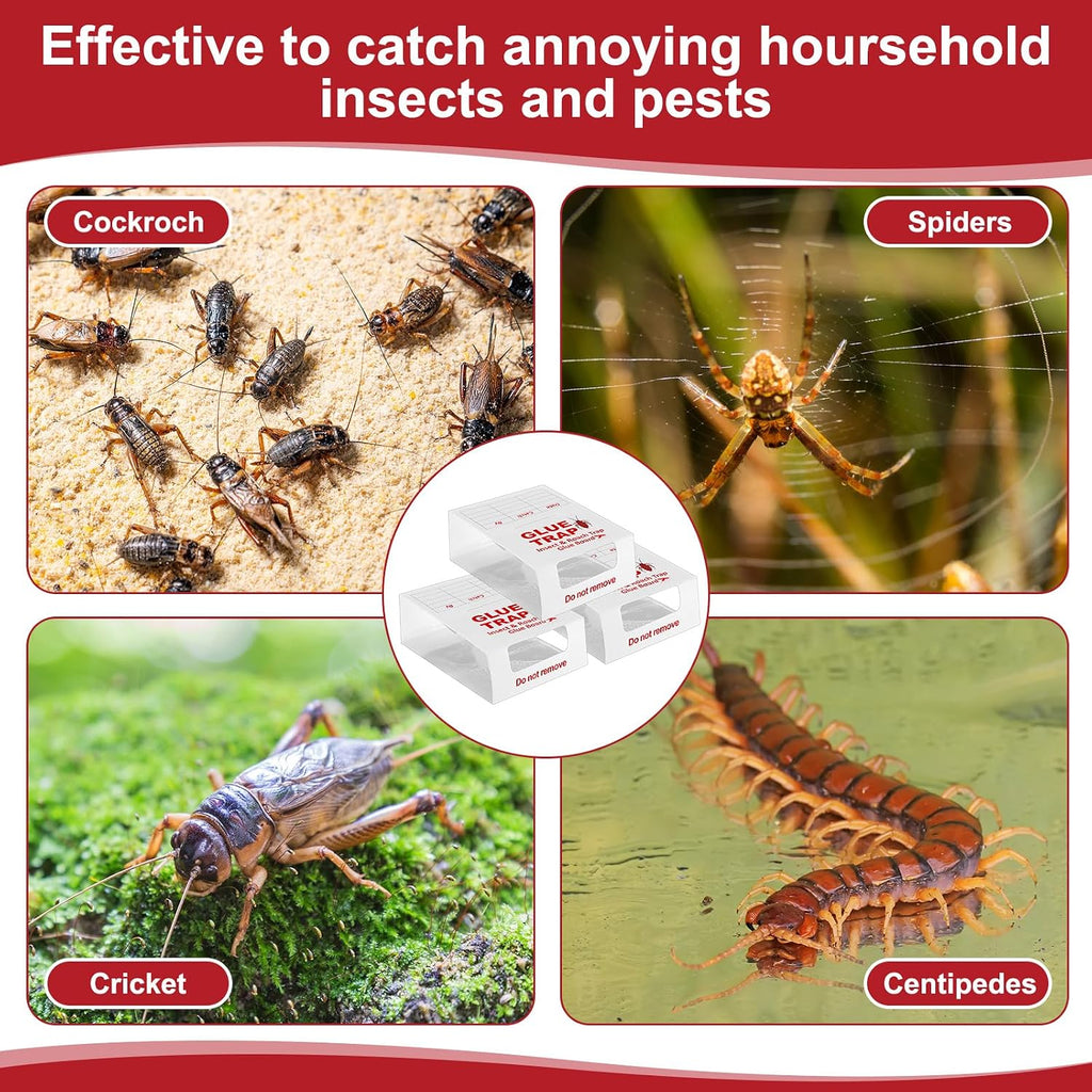 Qualirey 150 Pack/50 Sheets Spider and Insect Glue Insect Traps Glue Boards Bulk Adhesive Cockroach Cricket Sticky