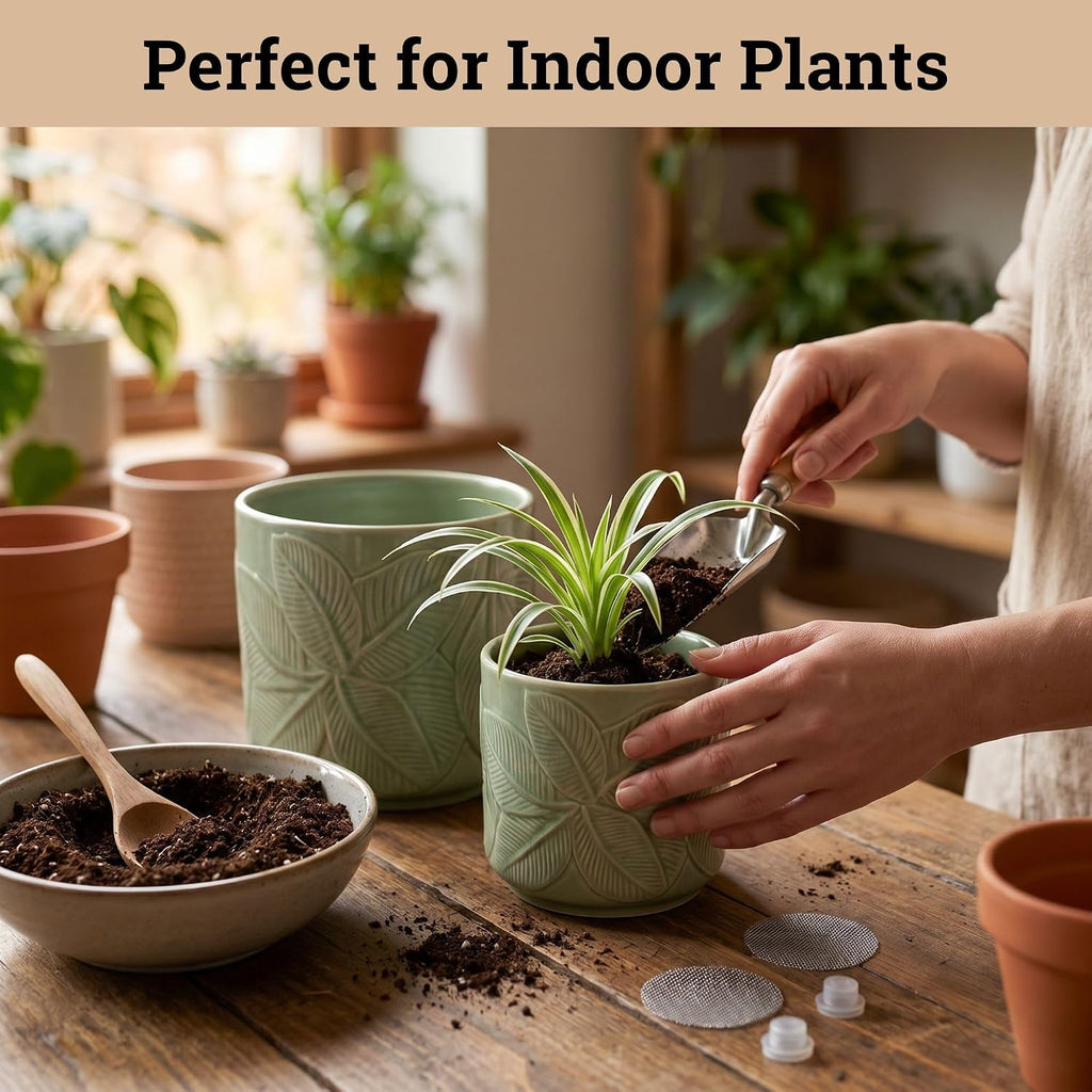 Ceramic Pots for Plants Set of 3, 6, 5, 4 Inch Diameter with Drainage Holes | Thick Durable Ceramic Pots, Plant Pots