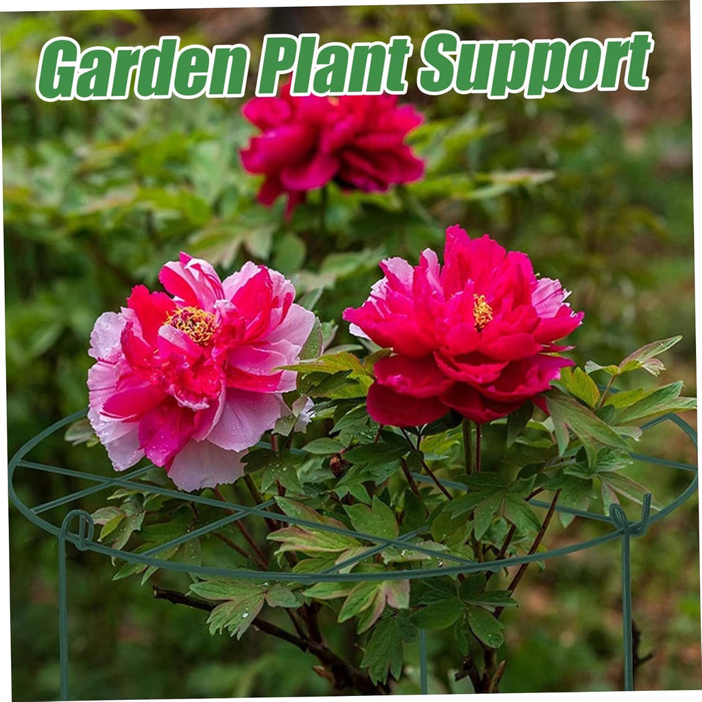 Peonies Support Cages, 6 Pack Peony Cages and Supports 30x40cm Plant Cages for Outdoor Plants Tomato Plant Support