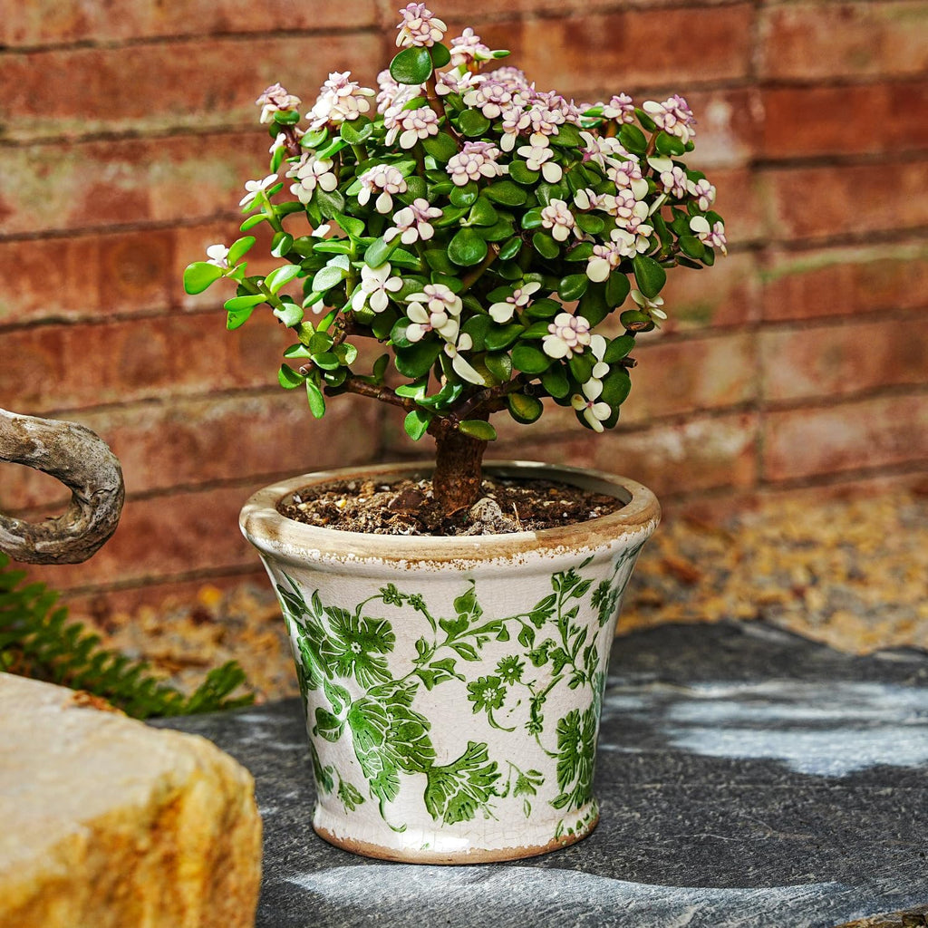 Sungmor Ceramic Flower Pots - 2 Pack, Crackle Glaze & Floral Prints Design | Rustic Farmhouse Planters with Drainage