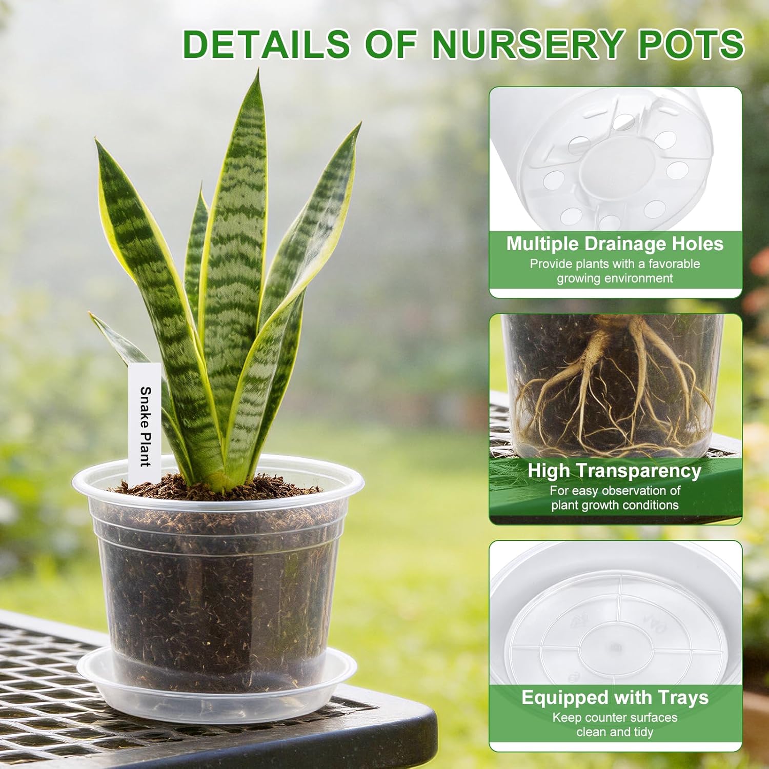 5/6/7/10 Inch Clear Nursery Pots with Drainage & Saucers 16PCS , Plant Large Pots with Labels, Seedling Tool & Hole